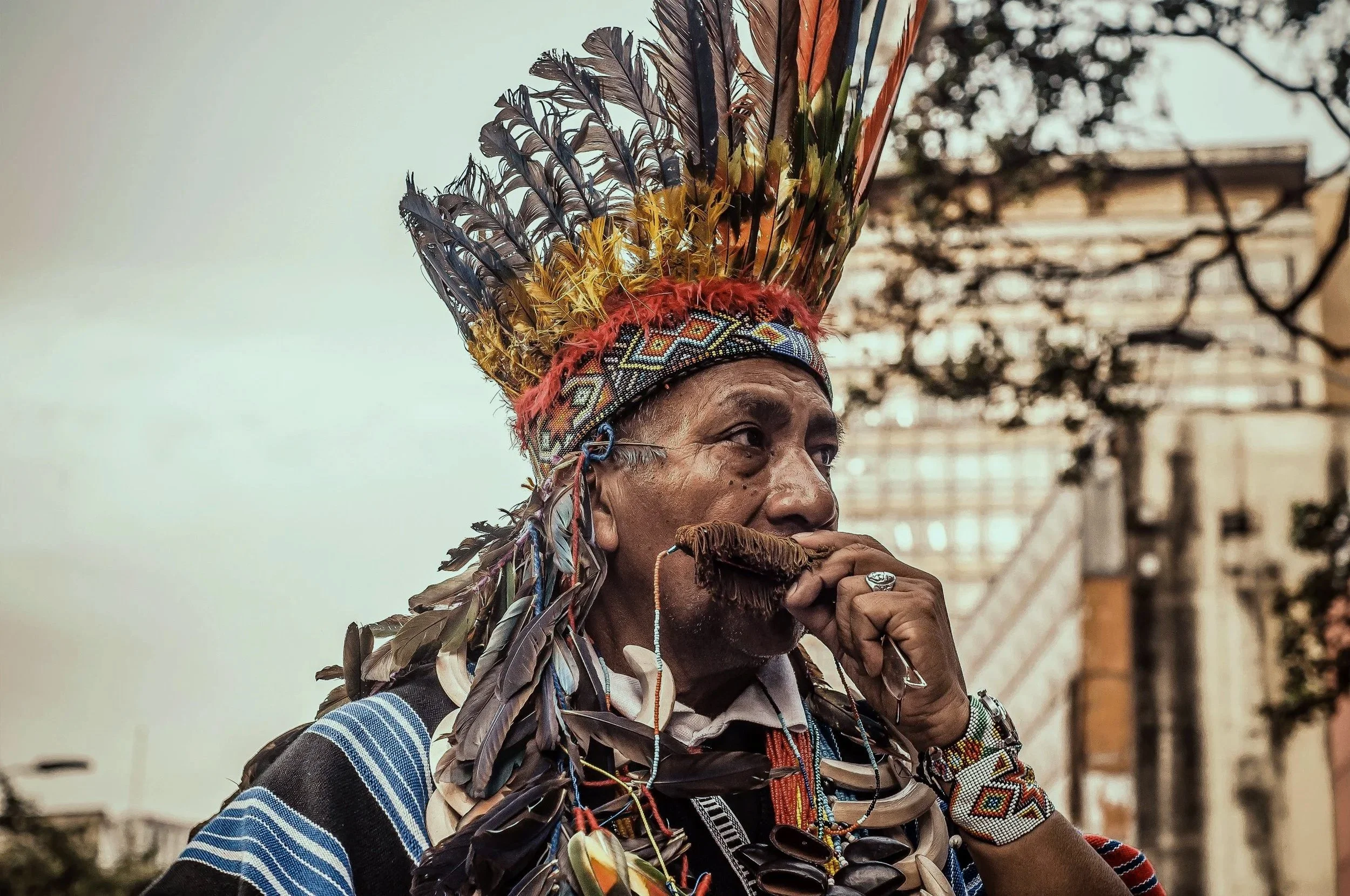 pexels-javier-segura-328311108-13835291.jpg