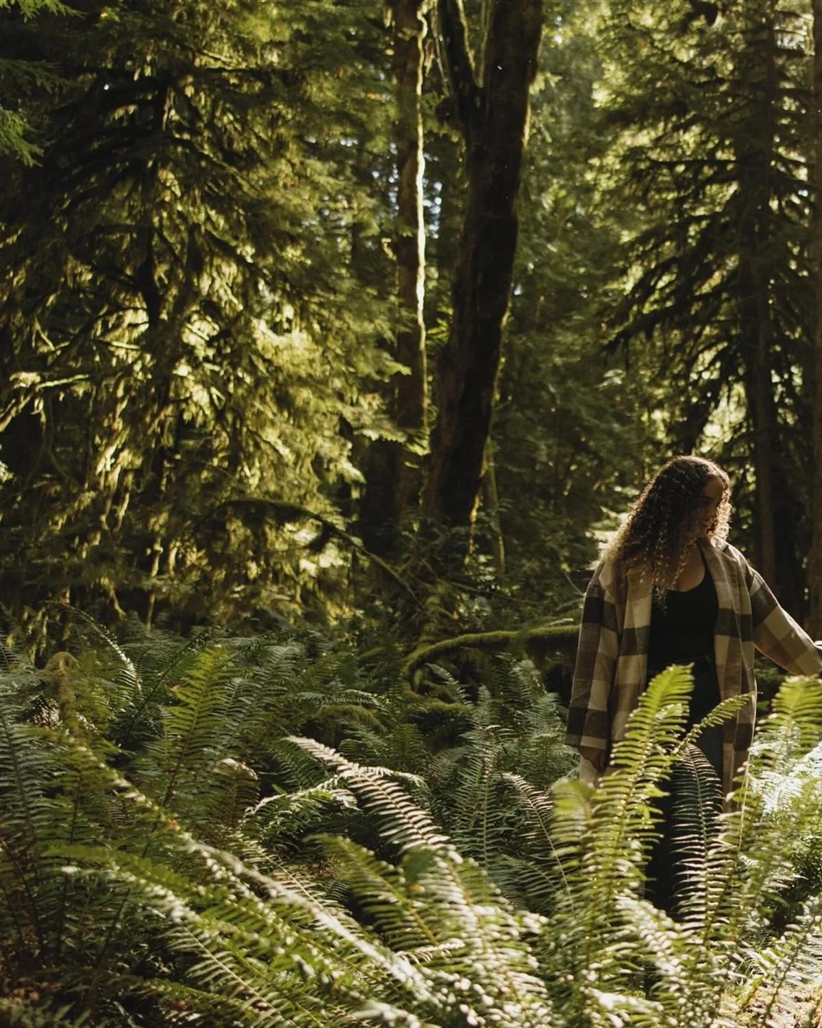 A woman with curly hair, wearing a black top and a plaid shirt, walking through a dense, sunlit forest surrounded by lush green ferns and tall trees.