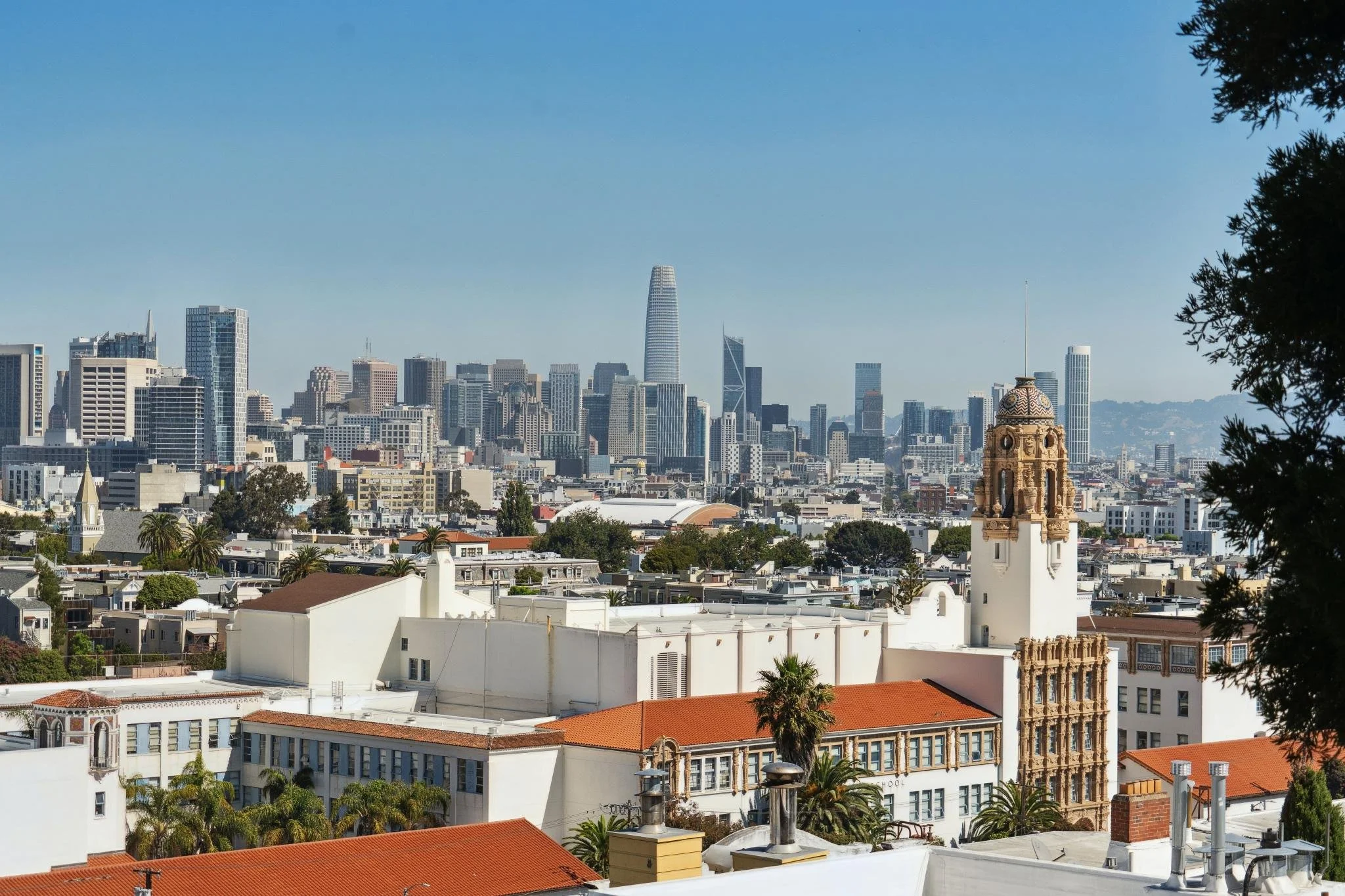 View of downtown San Francisco skyline with city buildings, including the Salesforce Tower, seen from a higher vantage point, with some trees in the foreground.