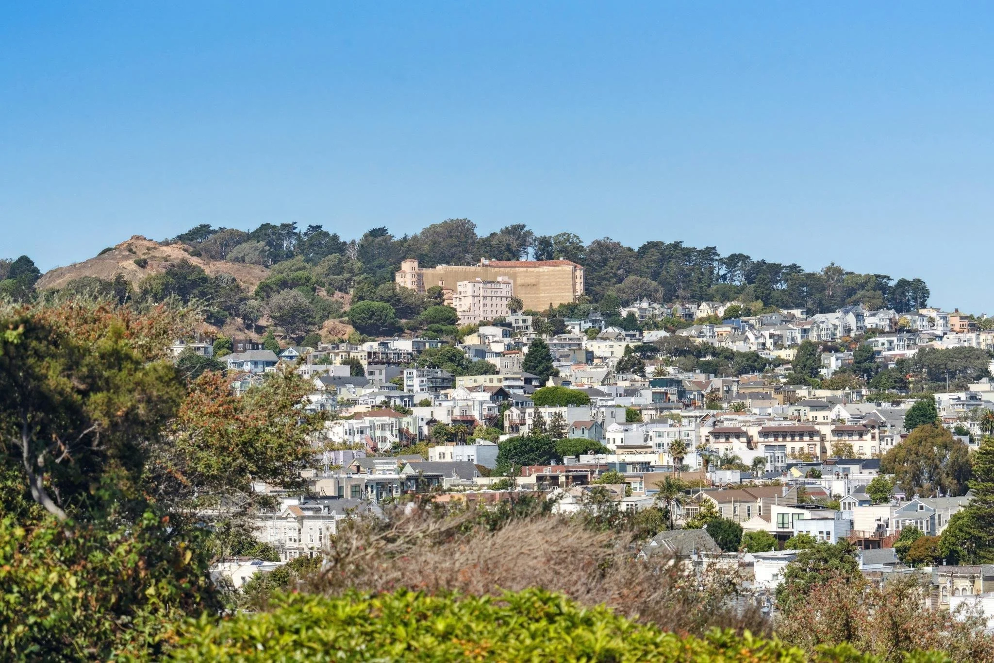 Cityscape of San Francisco with numerous houses on a hillside, greenery in the foreground, and a clear blue sky.