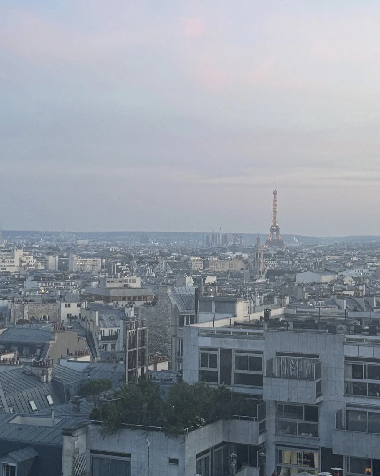 IMG_5242.jpeg