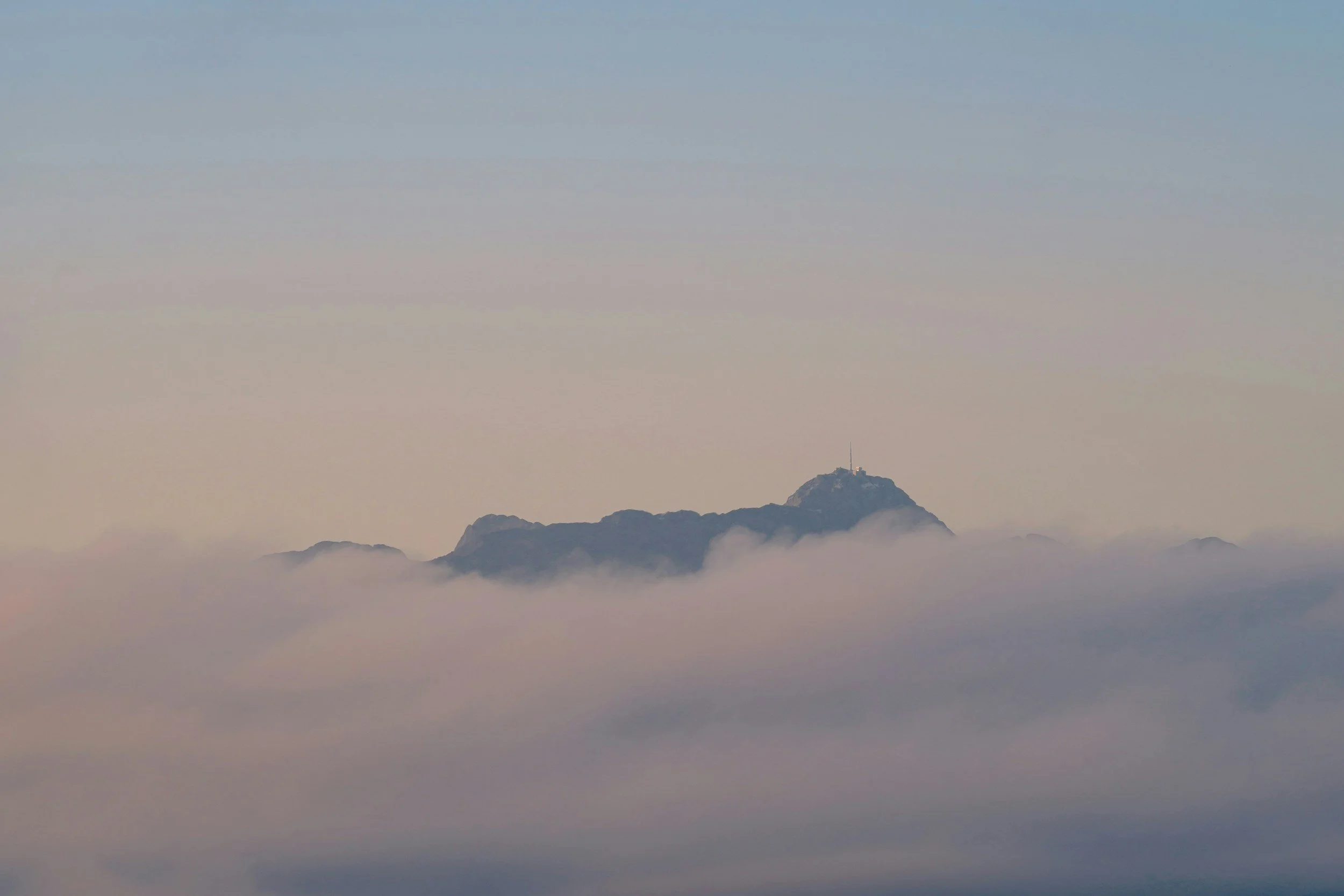 business assistance, help me with my business