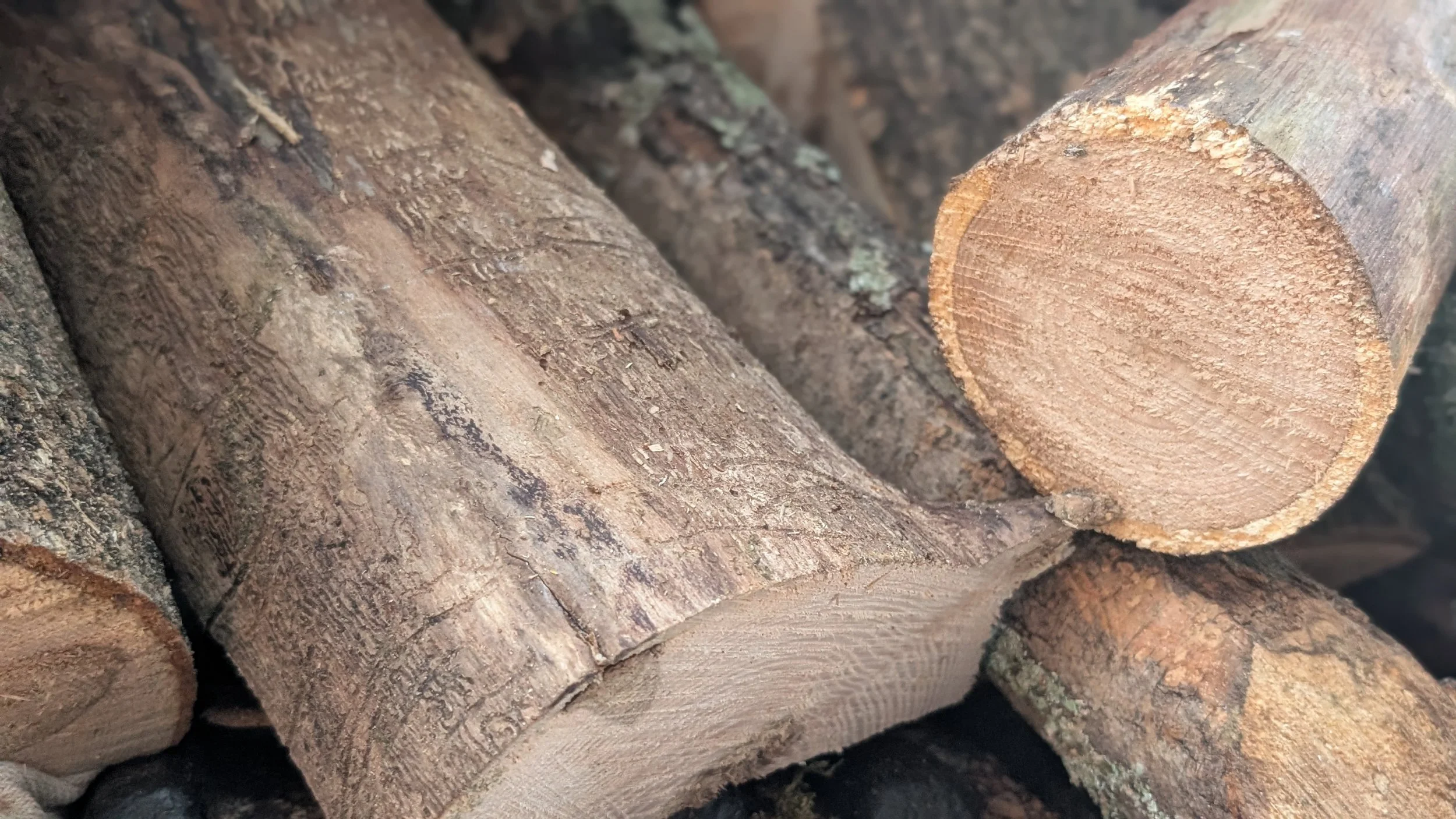 Seasoned Firewood Category B