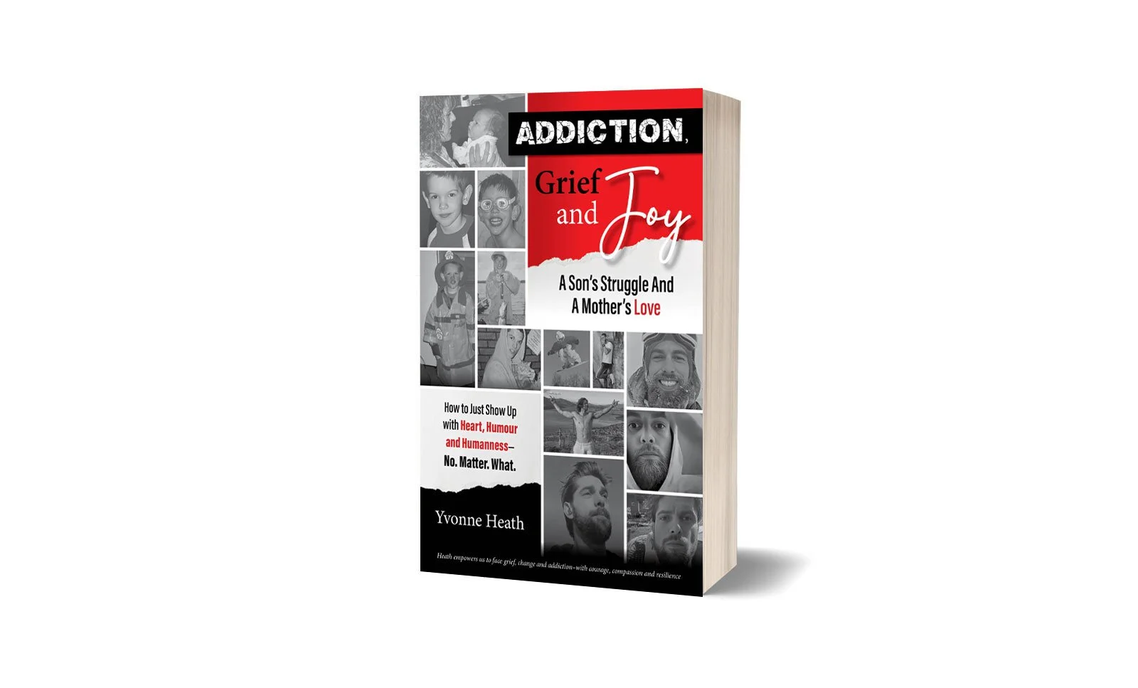 Addiction-Grief-and-Joy-A-Son's-Struggle-and-a-Mother's-Love-book.jpg