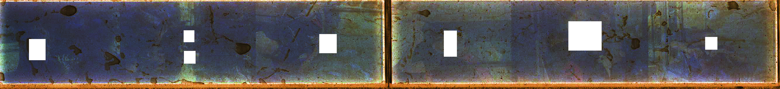 time: n/a, date: 2019, location: [REDACTED], with [REDACTED], Buster, and [REDACTED]