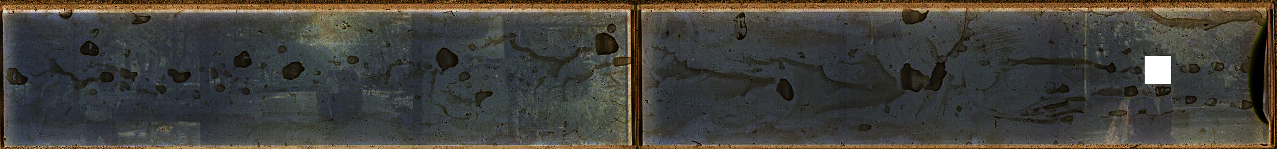 time: n/a, date: 2019, location: [REDACTED], with [REDACTED], Buster, and [REDACTED]