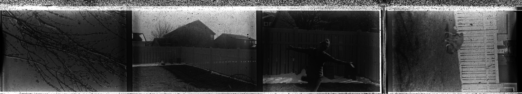 time: n/a, date: 2018, location: Brandi's house, with Brandi, her children, and dog Millie