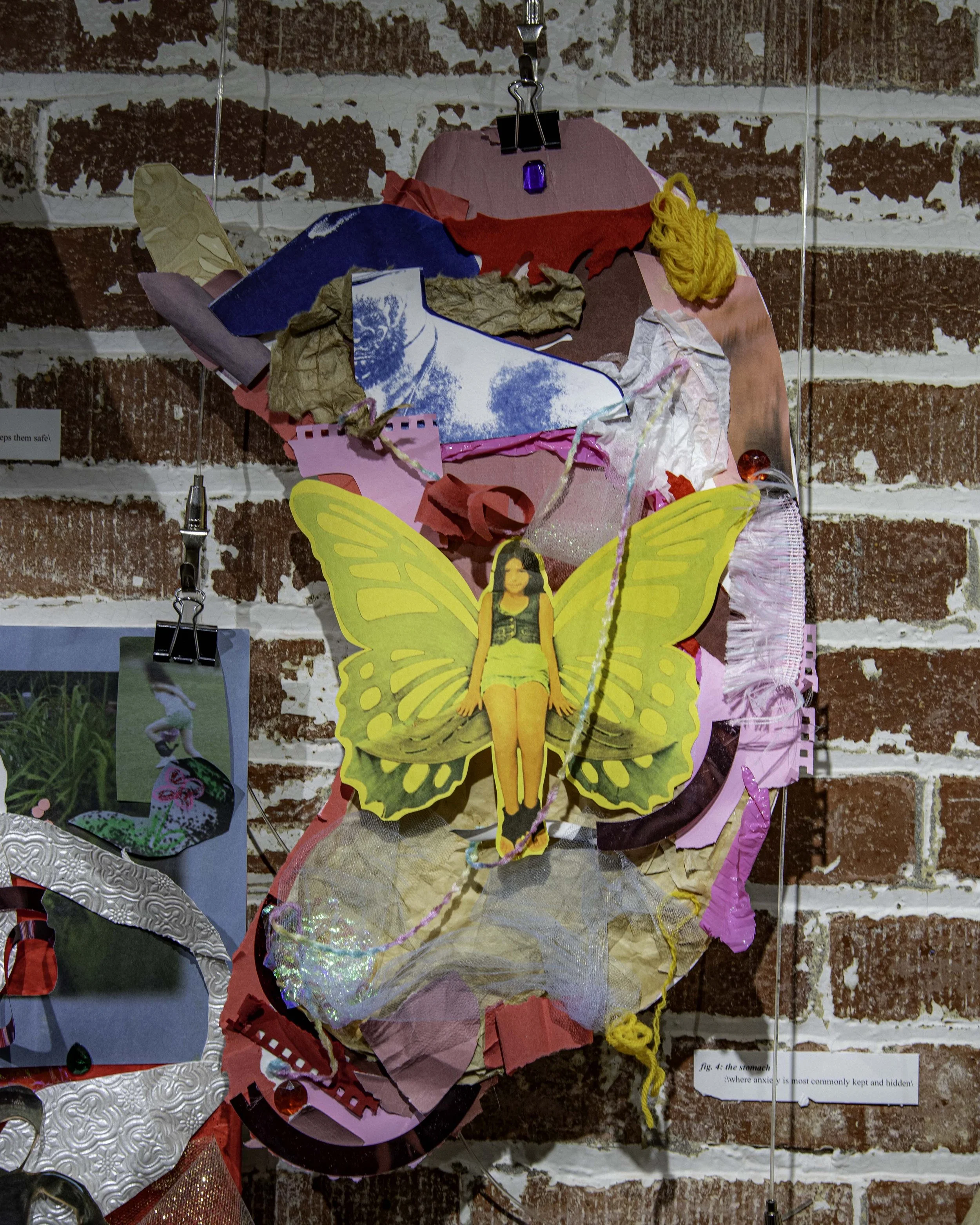 DSC06454-Edit.jpg