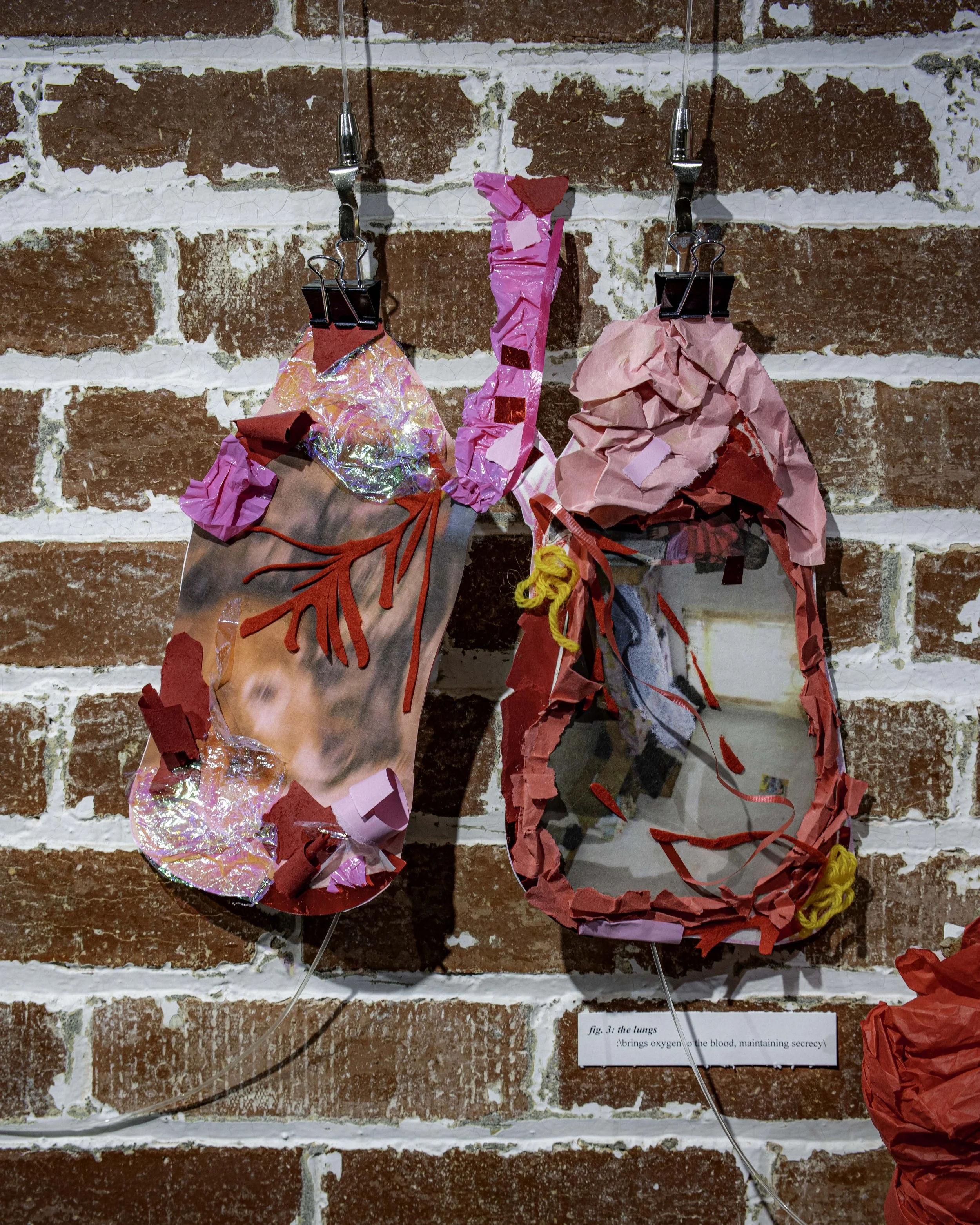 DSC06449-Edit.jpg