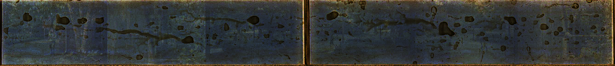 time: n/a, date: 2019, location: [REDACTED], with [REDACTED], Buster, and [REDACTED]