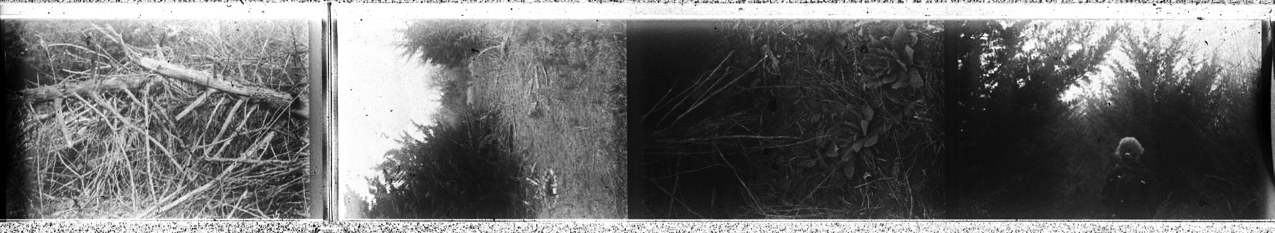 time: n/a, date: n/a, location: Wagon Train Lake, with Waxy Williams