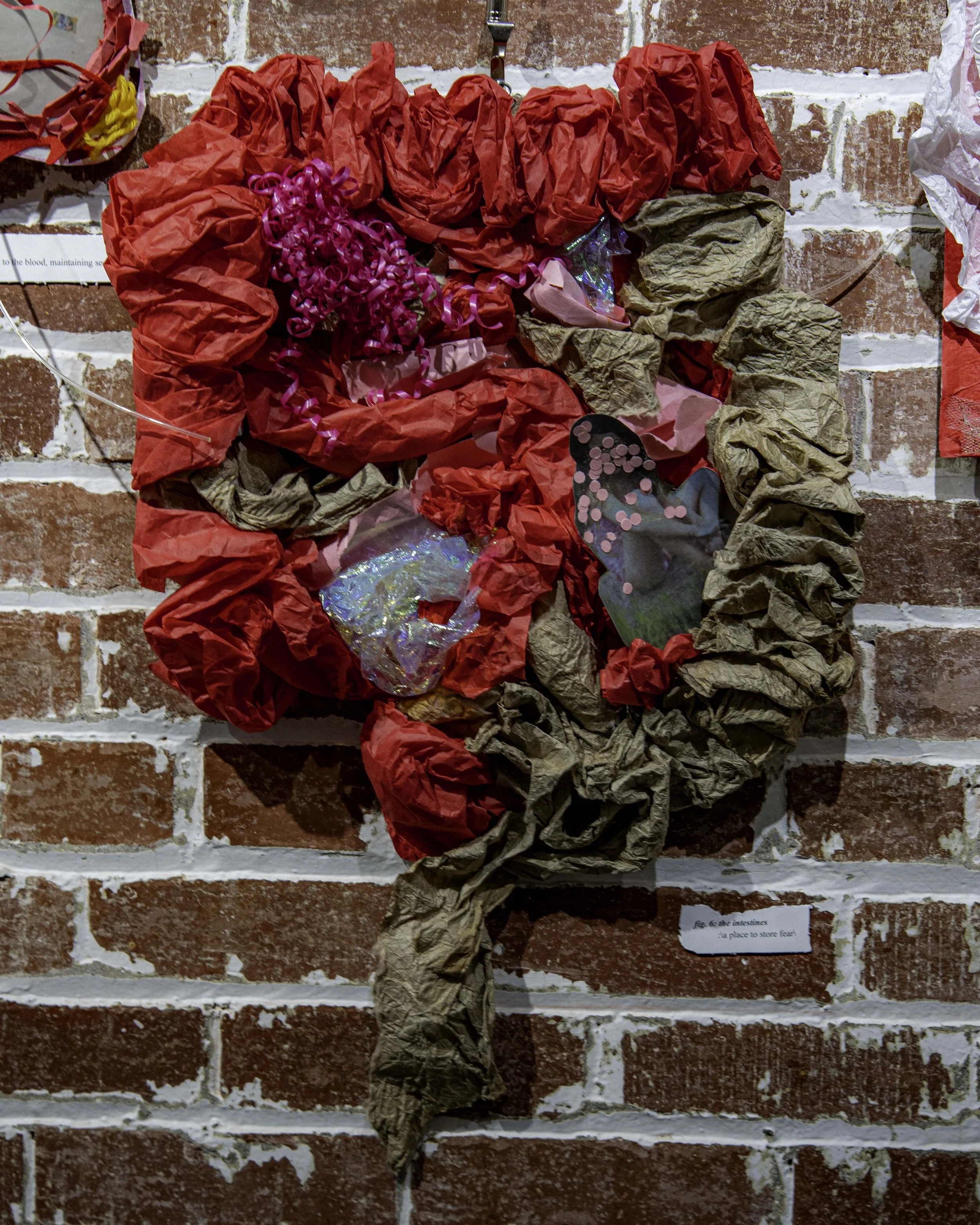 DSC06450-Edit.jpg