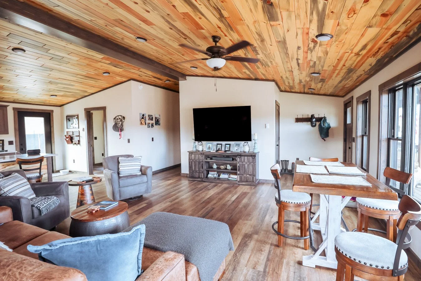 bug life tv area.jfif