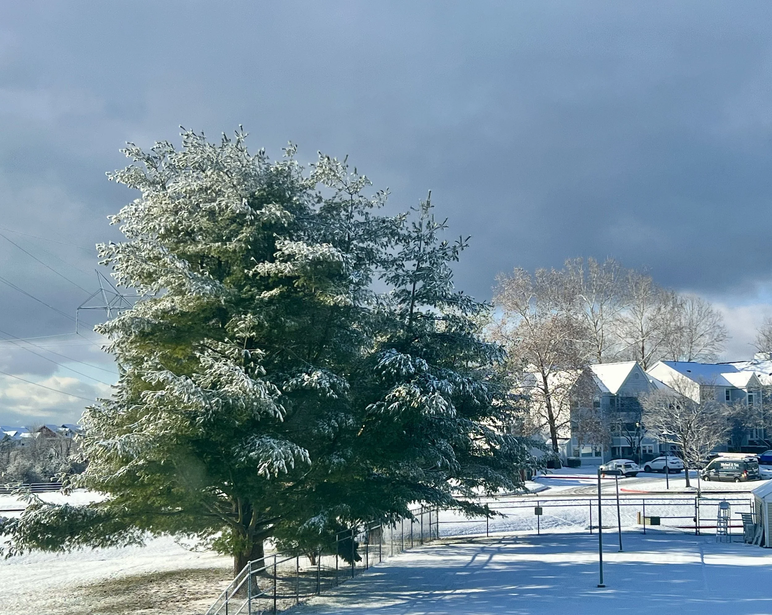 photo reference used for artwork.