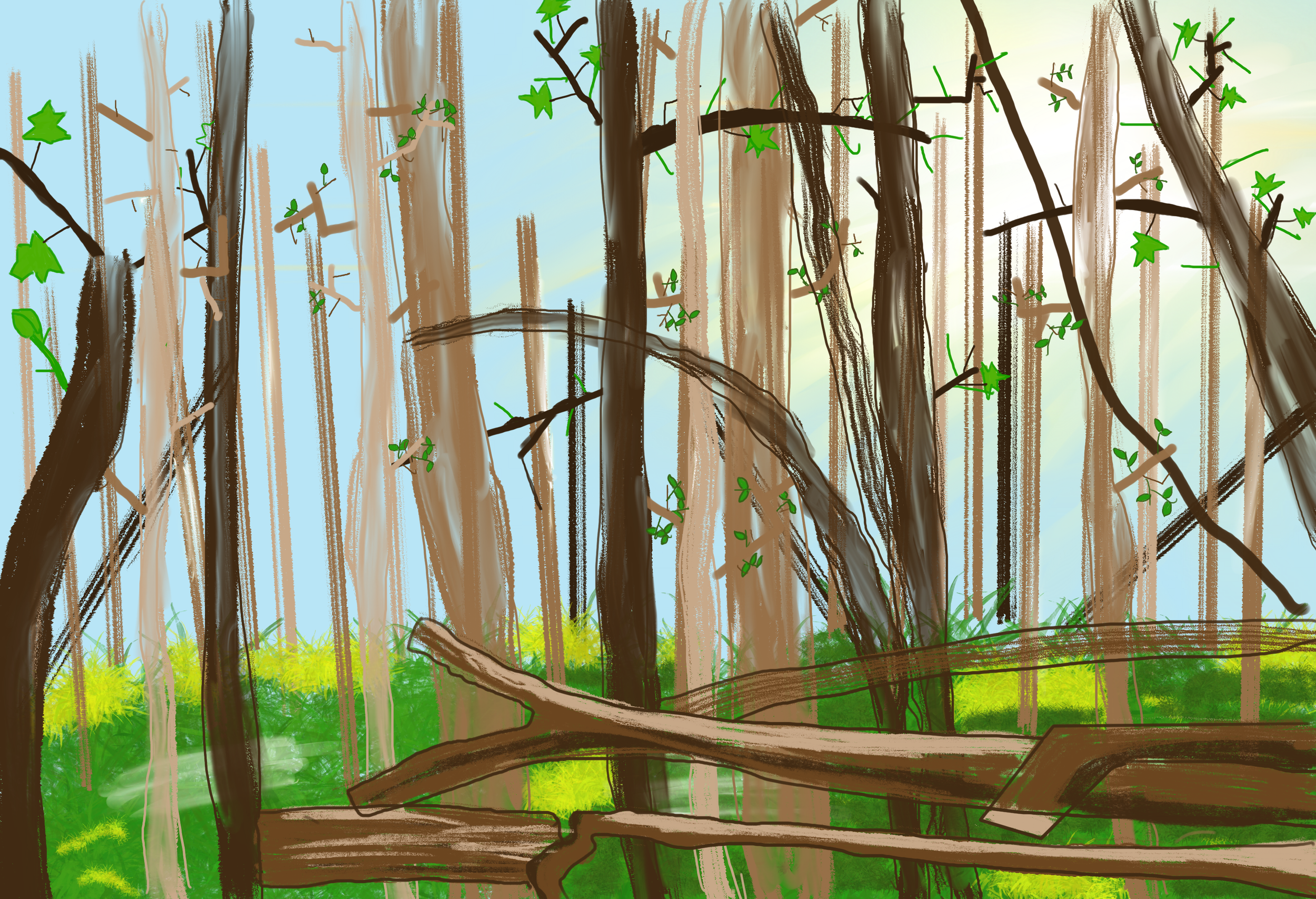 trees logs, grass foreground, sunny blue sky background