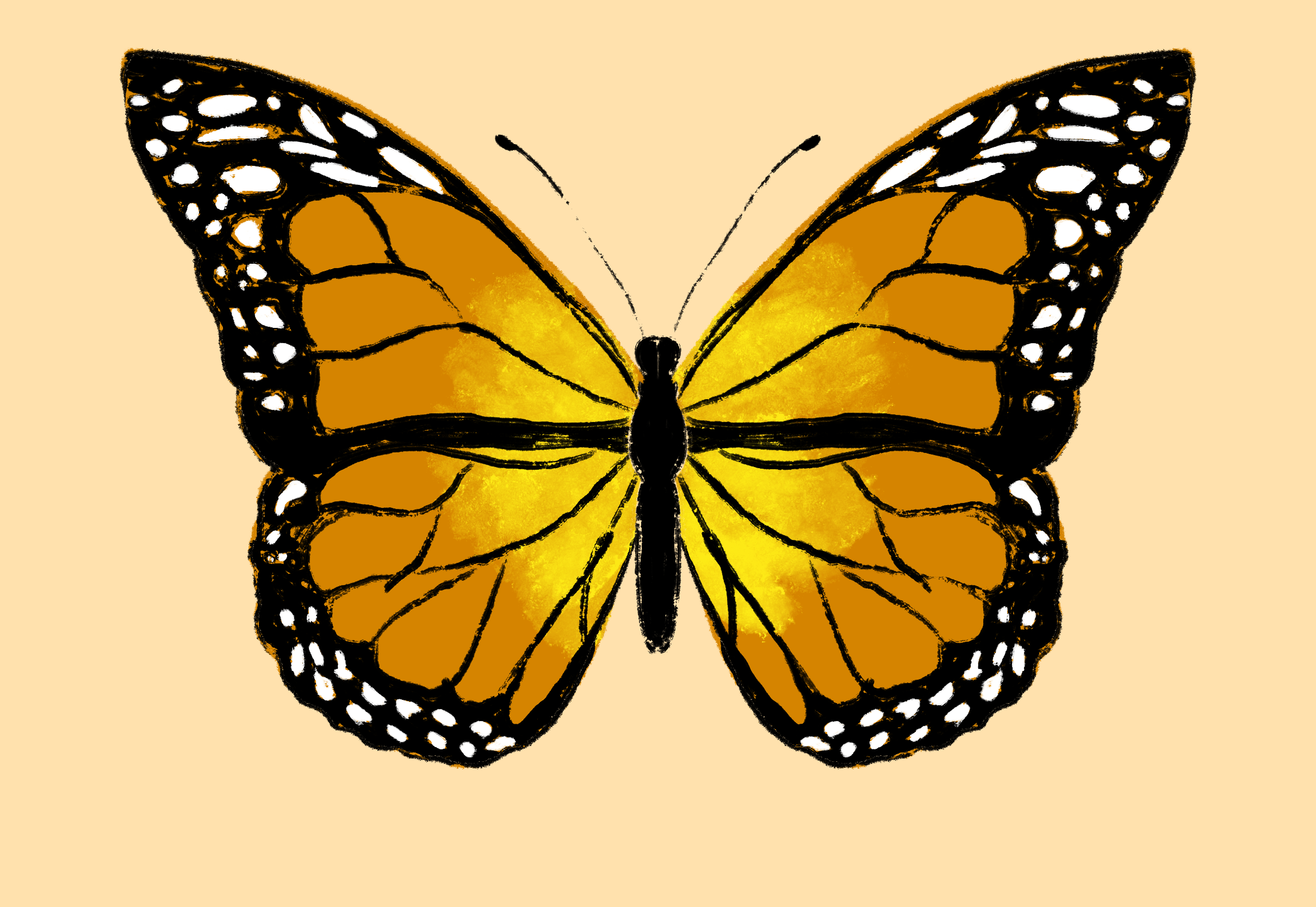 Procreate beginner lesson 4 - butterfly - December 7, 2025
Couldn't figure out the animation piece of the lesson today. I think the beginner series uses a slightly different version to the one I have.