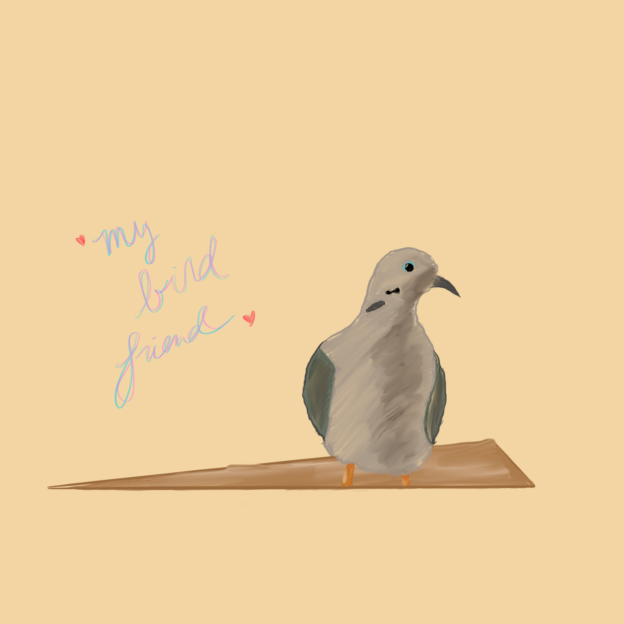mourning or turtle dove standing on a brown wooden table with "my bird friend" written in cursive