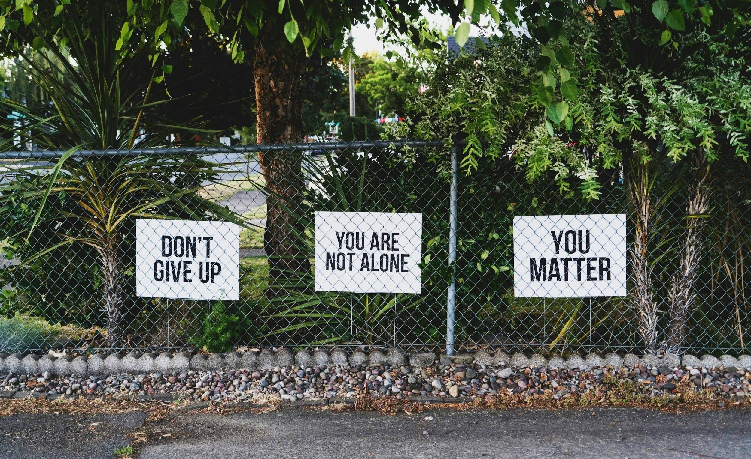 3 Ways Green Businesses Can Help Your Mental Health