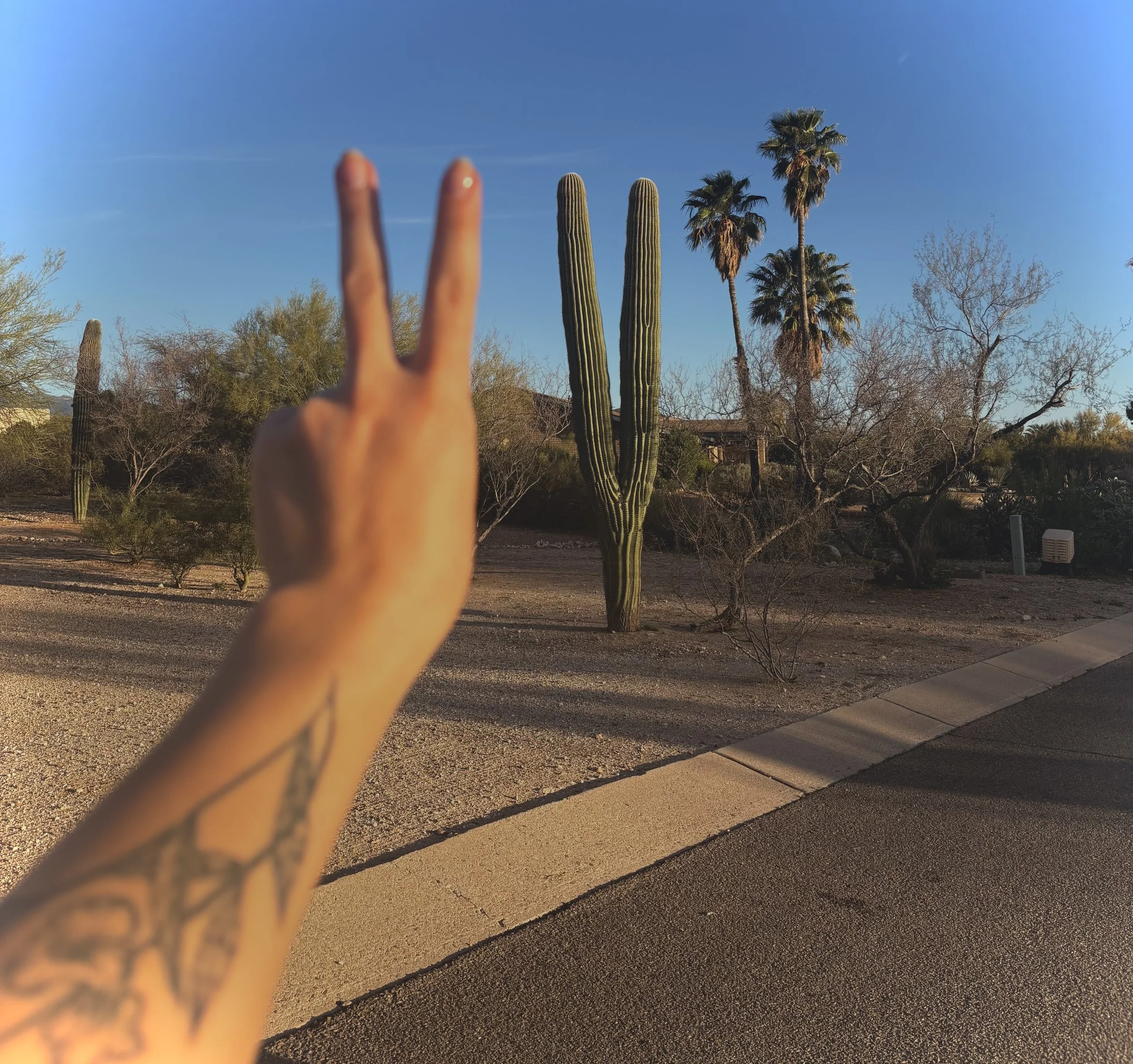 The Myth of the Blank Canvas