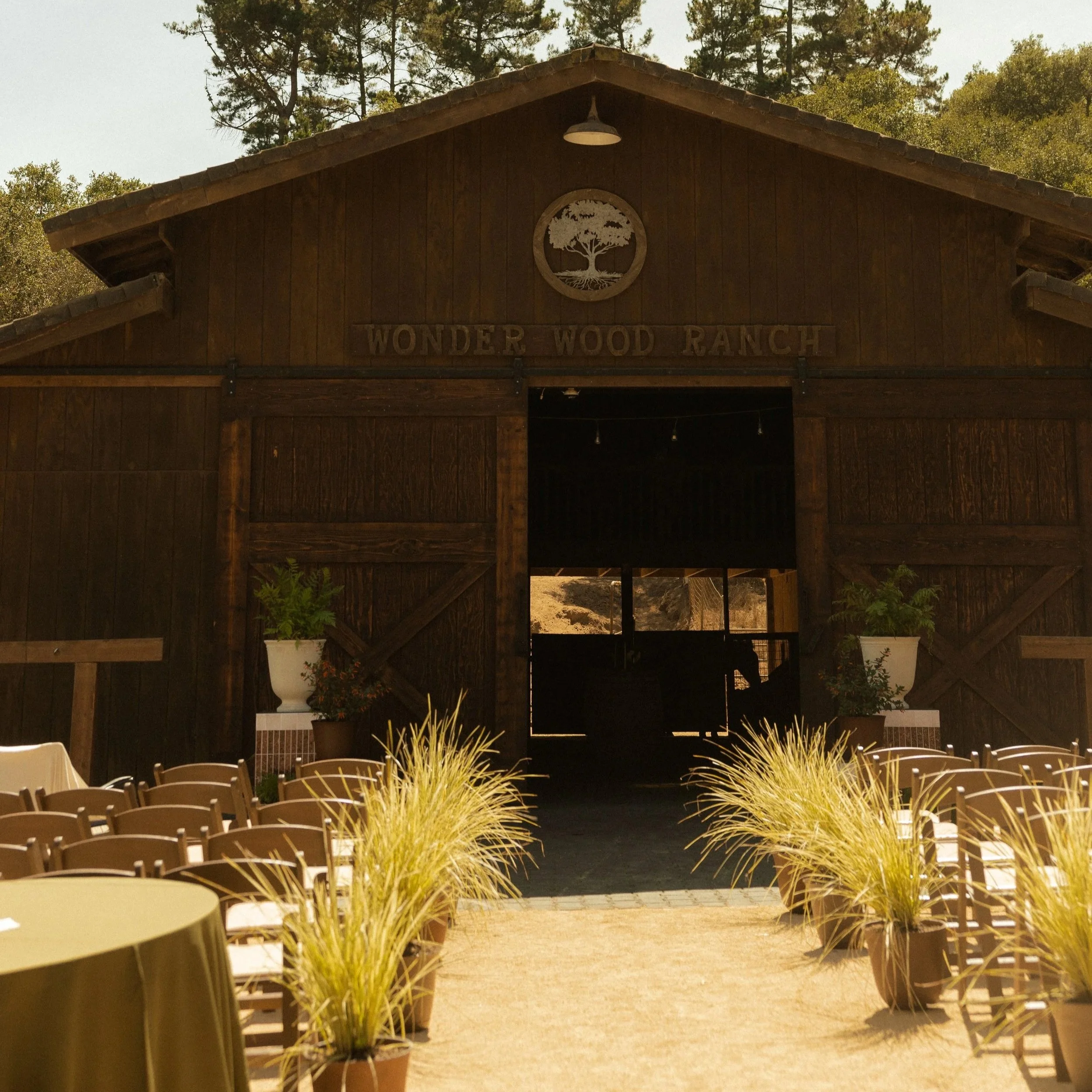 Image of barn and grasses with chairs