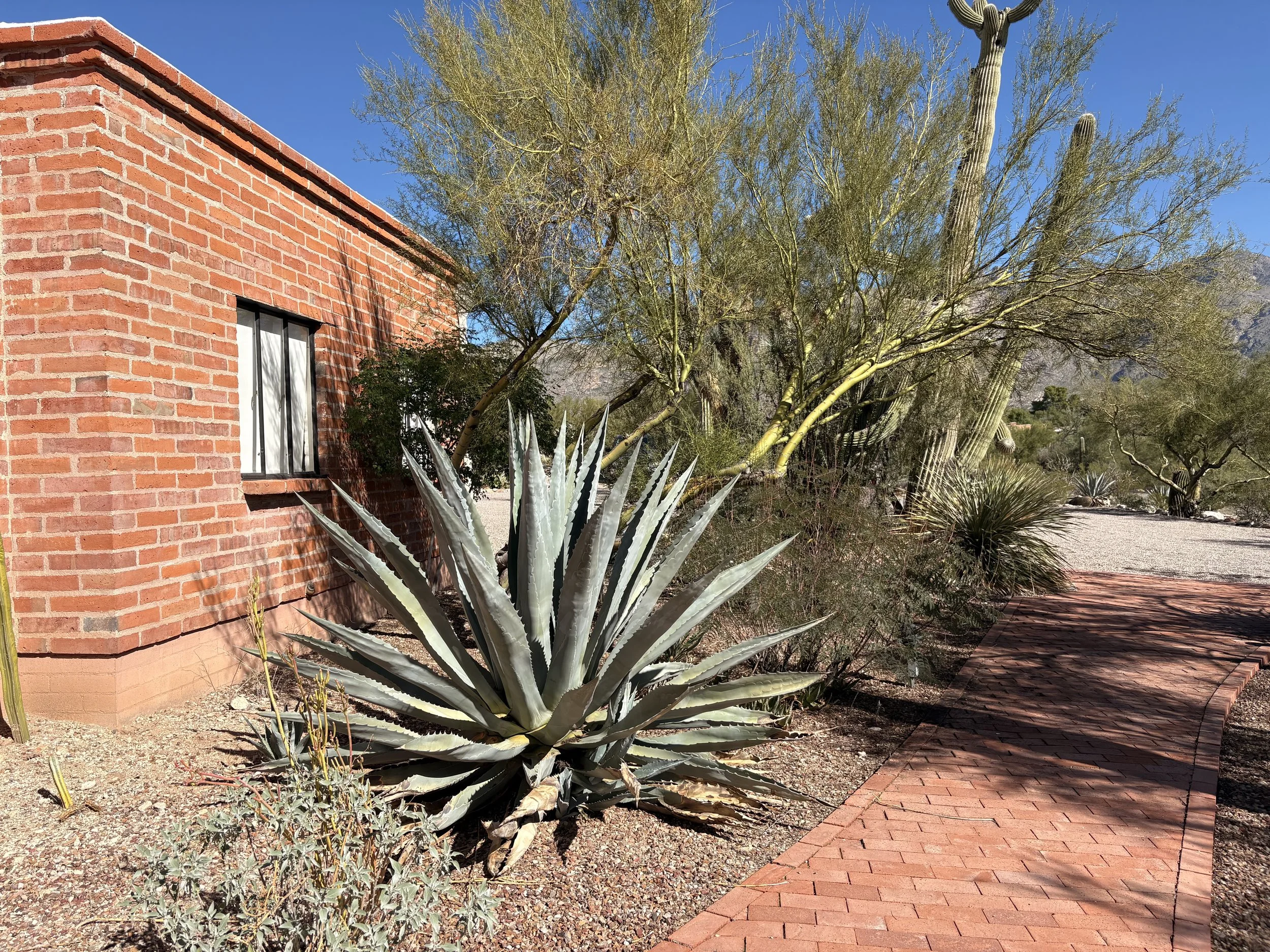 The Design Consultation