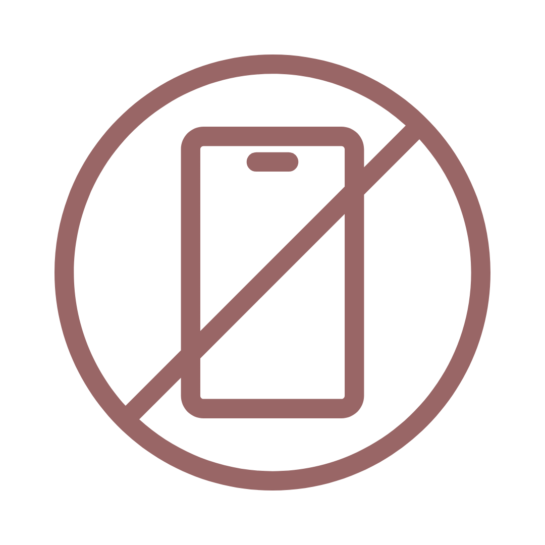 Icon of a mobile phone crossed out with a slash, indicating no phone use.