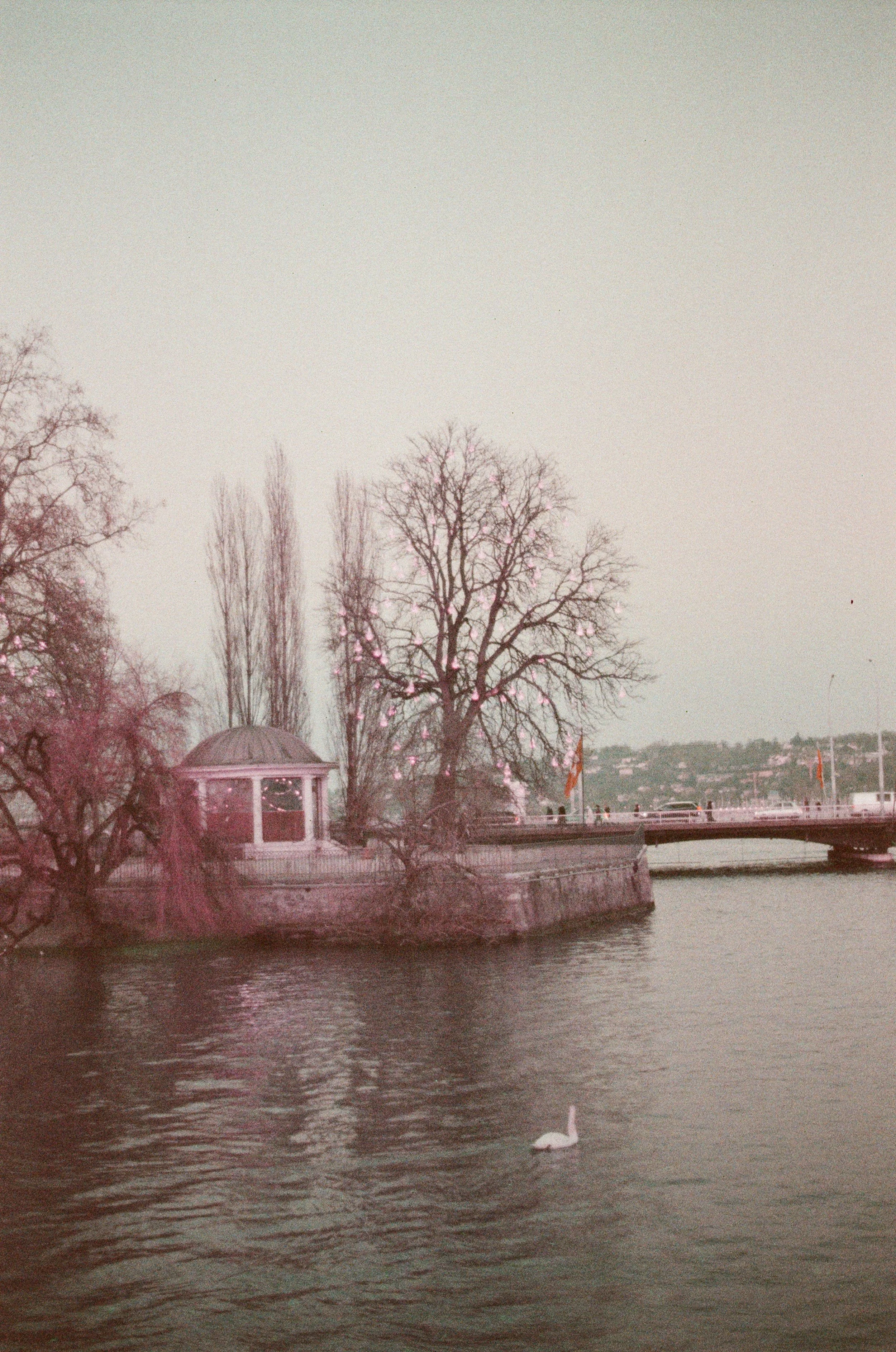 lake-geneva-dusk-lomochrome-film-swan-riverscape.jpg.jpg