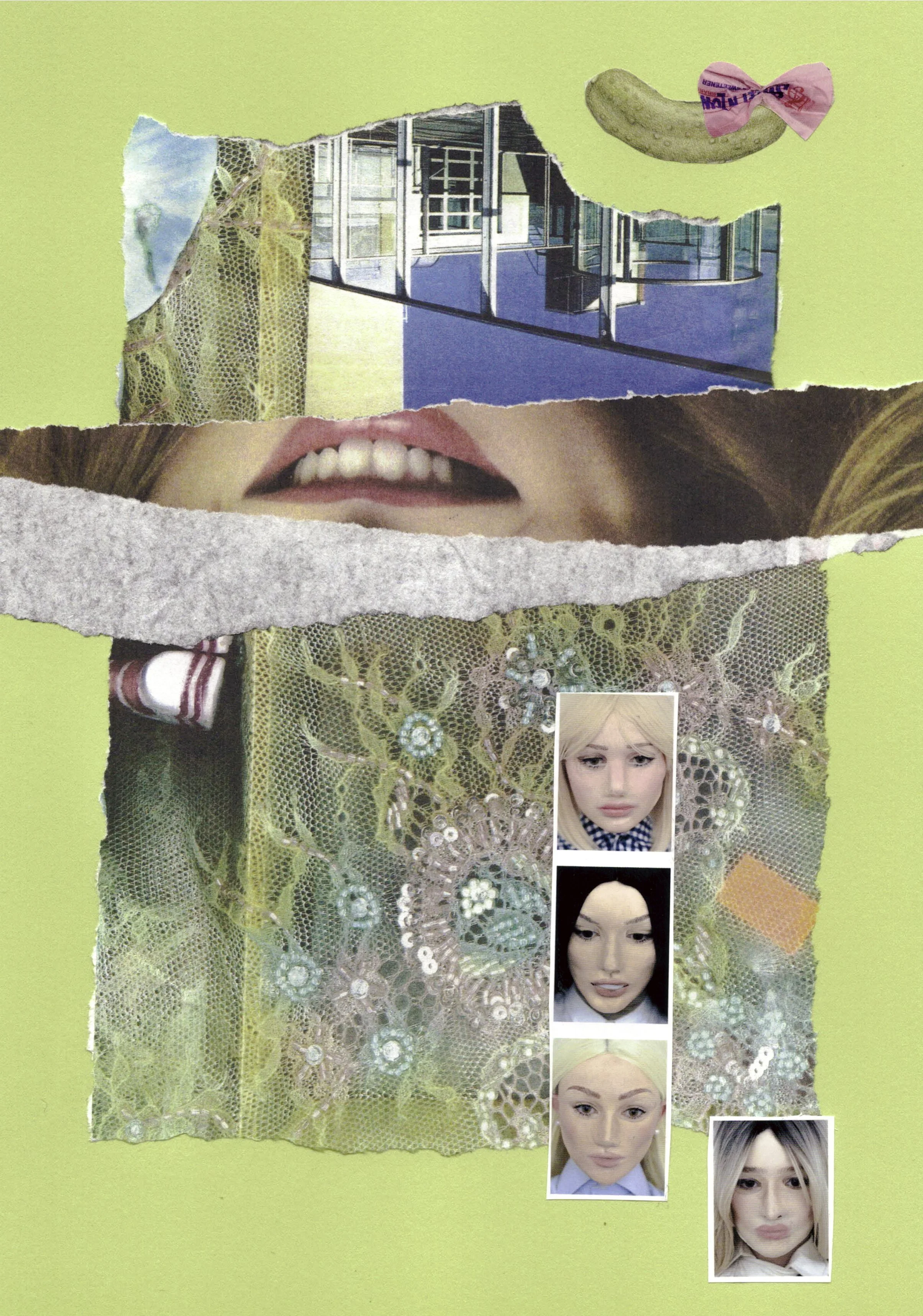 pickled-pink-feminist-collage-art-barbie-beauty-standards.jpg.jpg