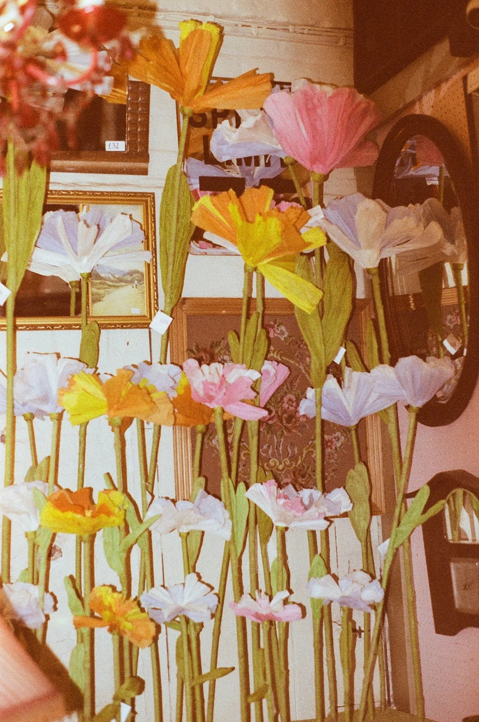 liverpool-shyop-display-giant-flowers.jpg