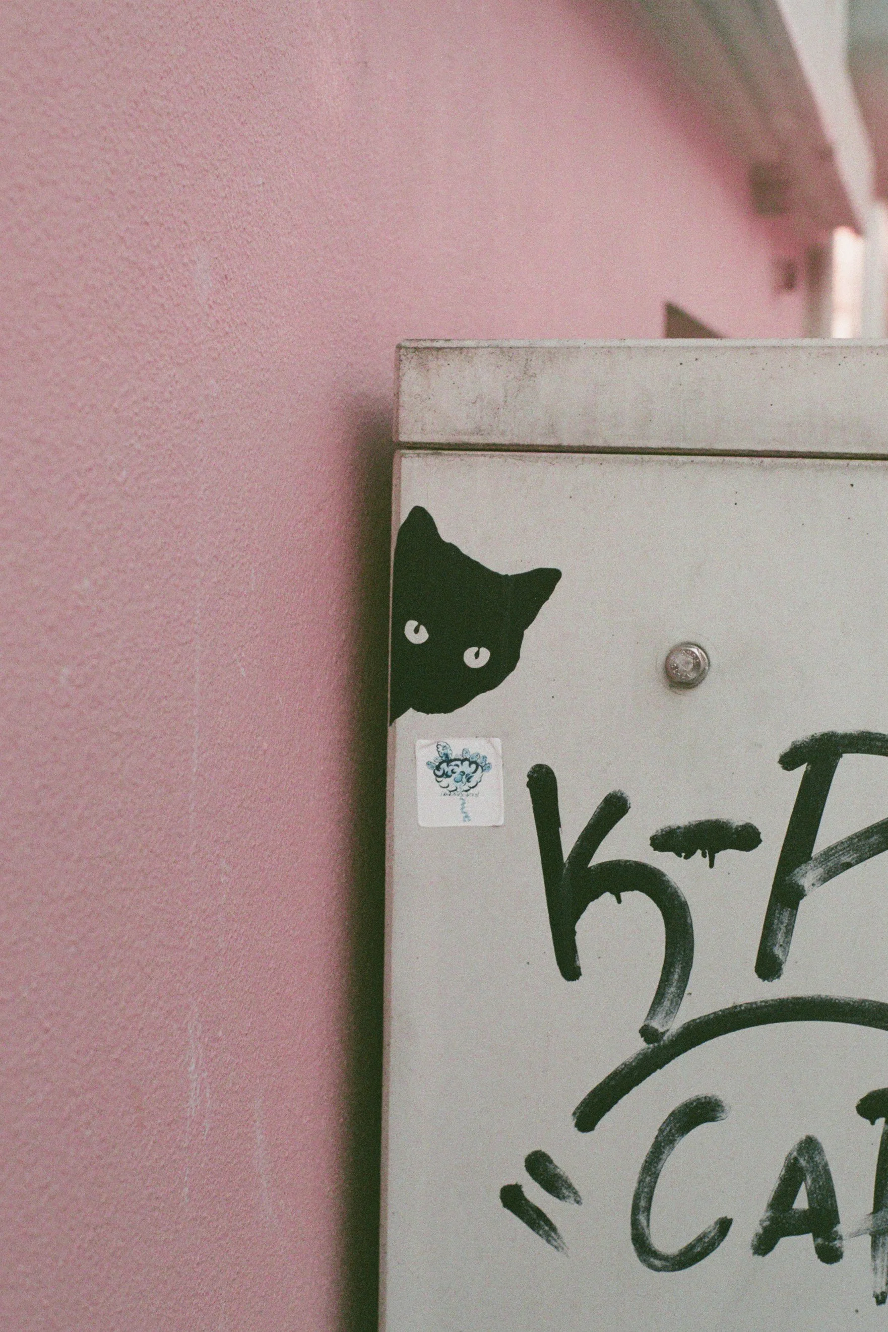 black-cat-street-art-sticker-urban-wall-pink.jpg.jpg