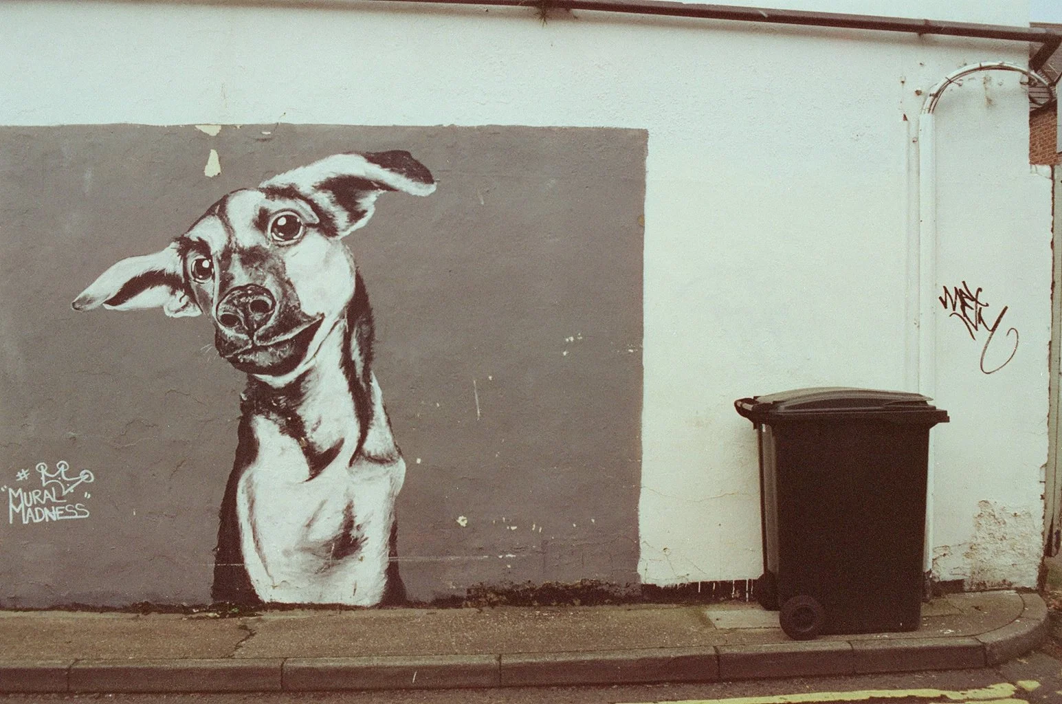 gosforth-dog-mural-street-art-35mm-film.jpg.jpg