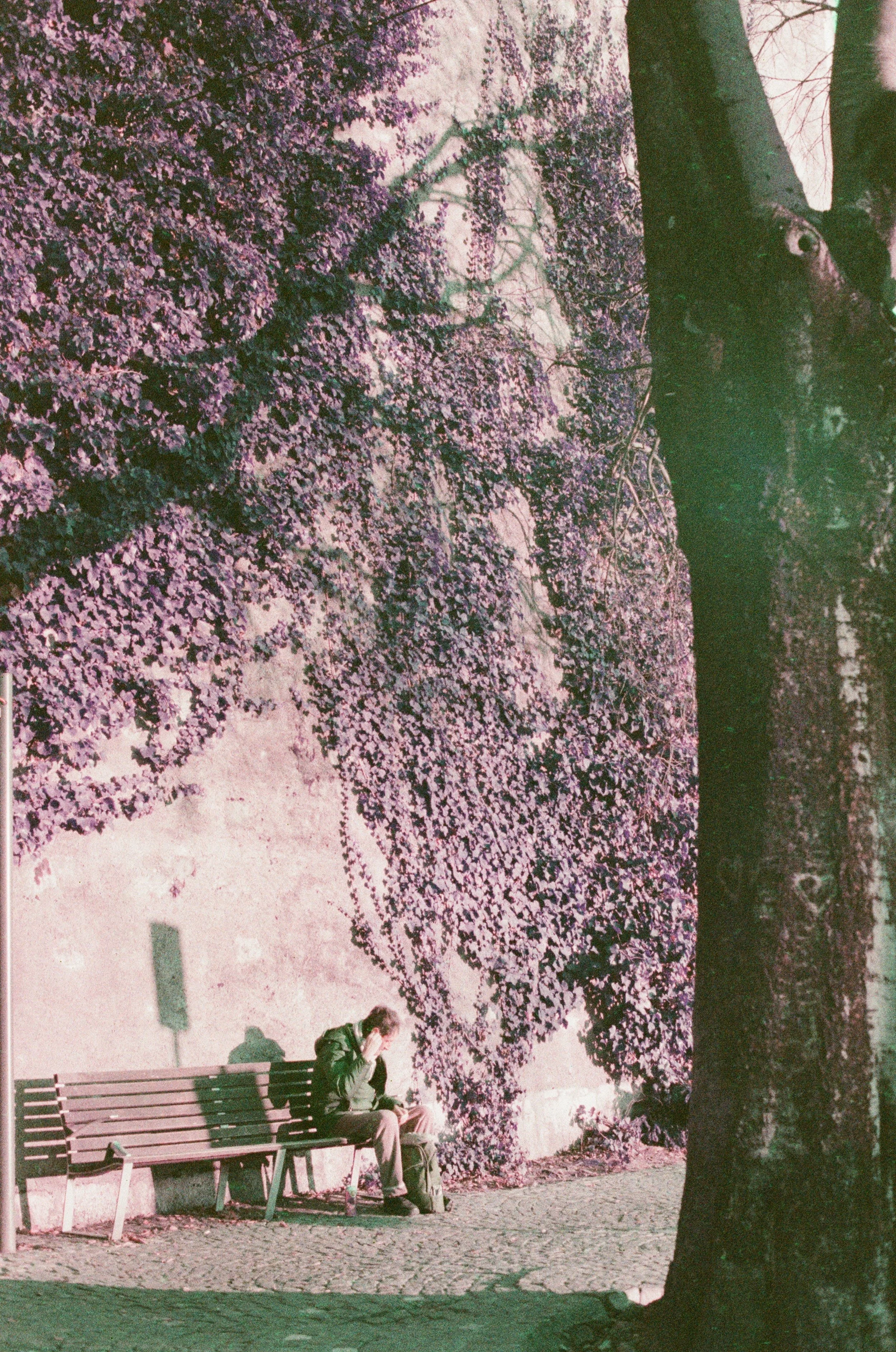 geneva-man-on-bench-lomochrome-film-street-photography.jpg.jpg