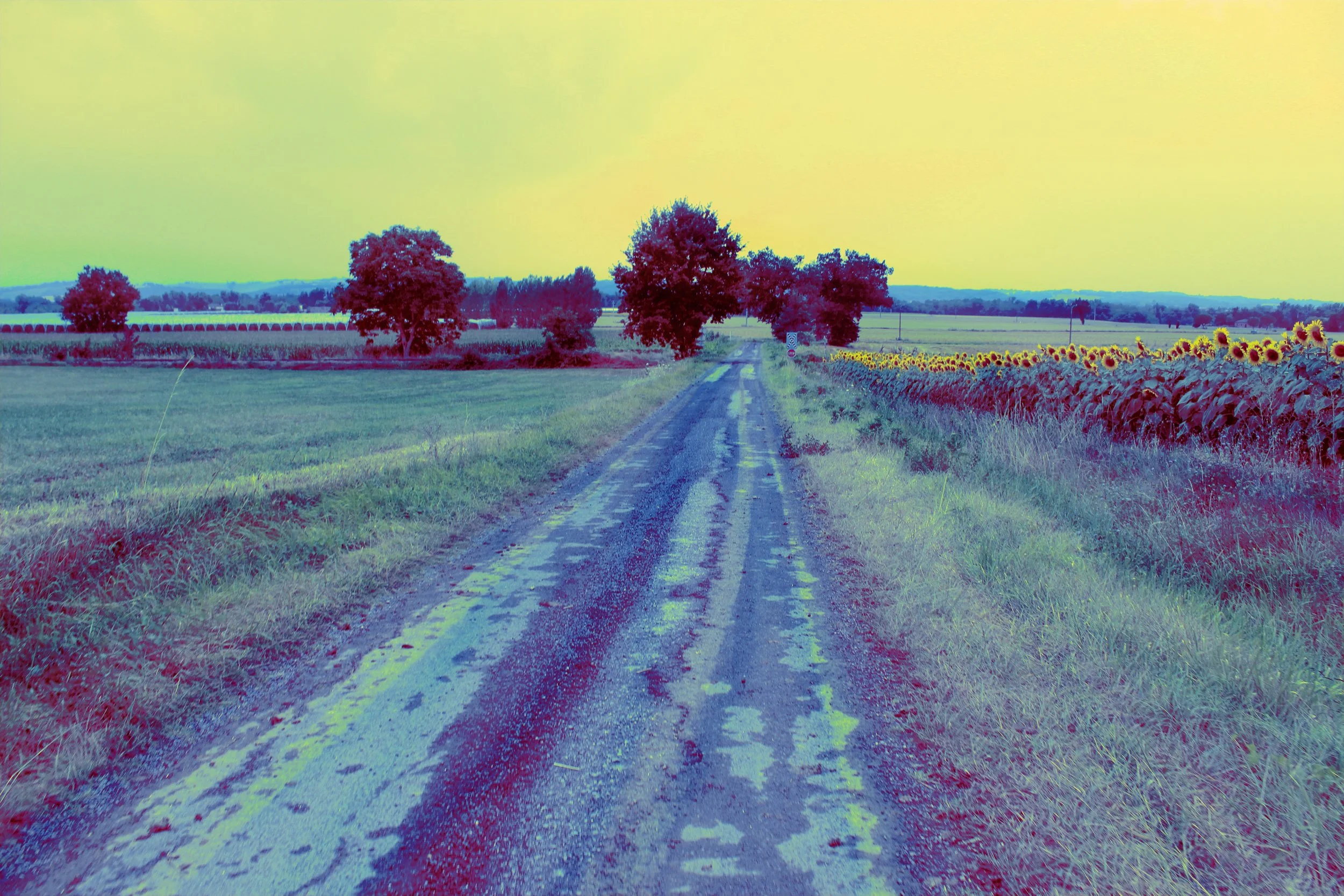 psychedelic-landscape-surreal-sunflower-road-france.jpg.JPG