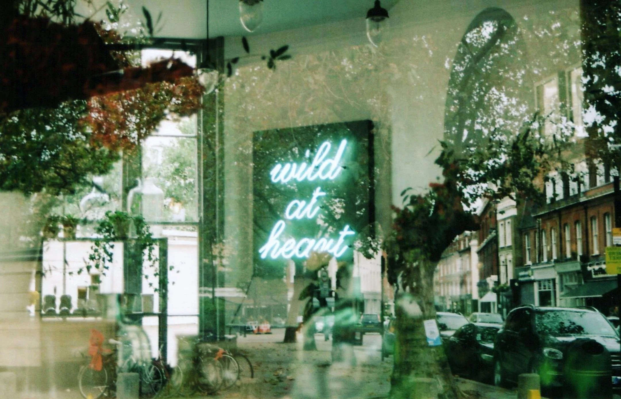 wild-at-heart-florist-window-barcelona-35mm-film-photo-louisa-rogers.jpg.JPG