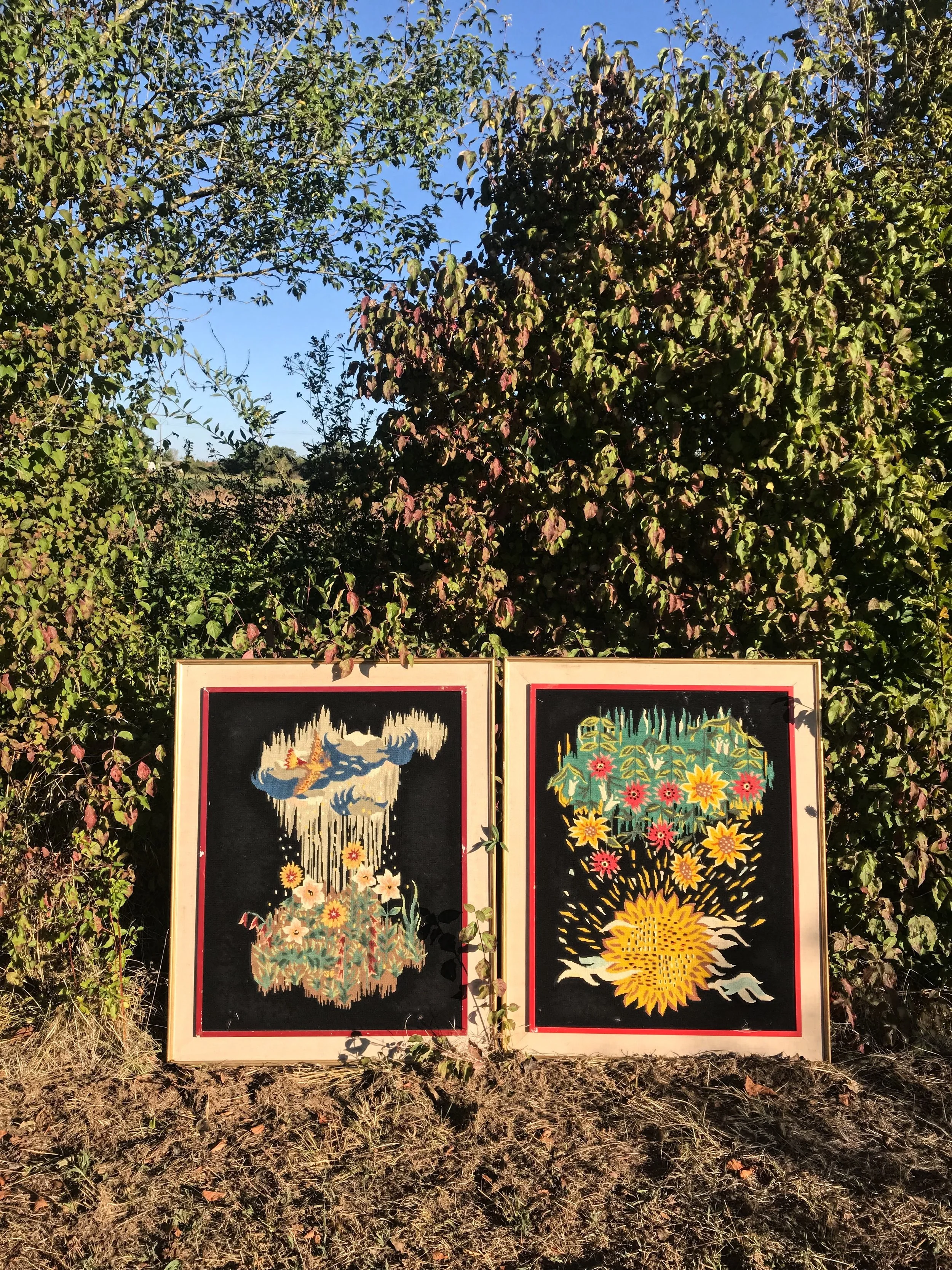 french-embroidered-framed-art-in-field-sunlit-outdoor-photography.jpg.JPEG