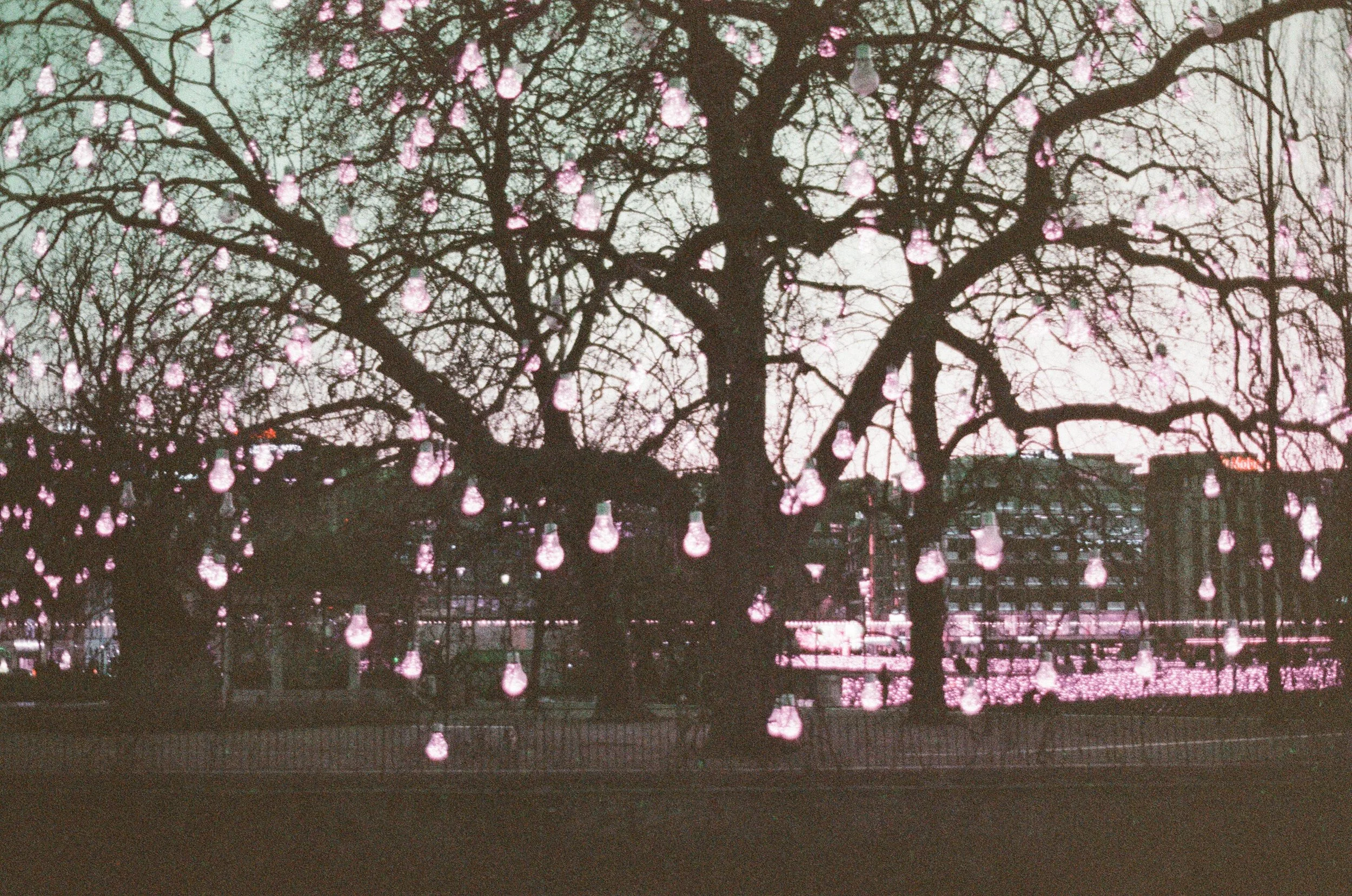 rousseau-island-light-installation-lake-geneva-lomochrome-film.jpg.jpg