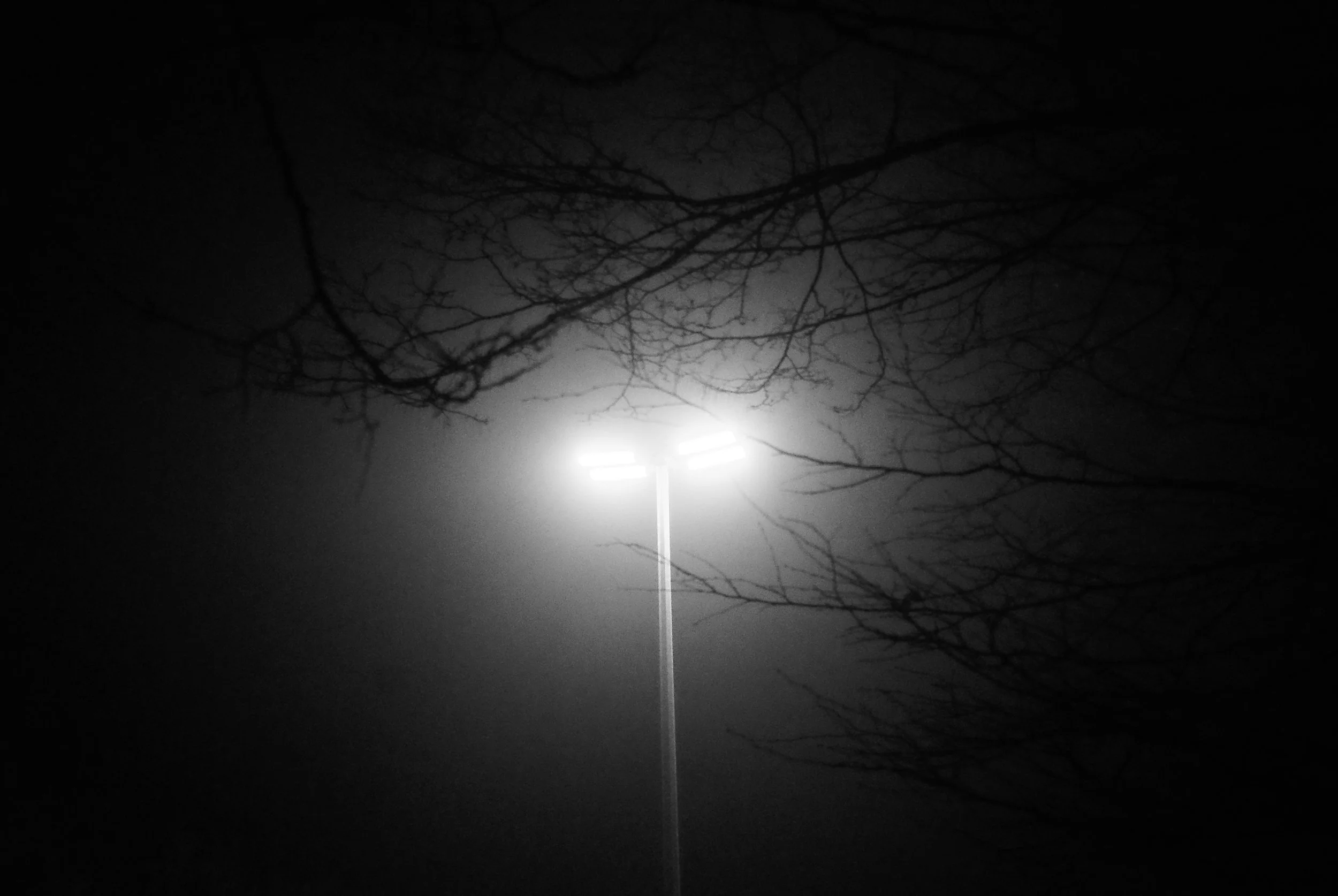 groenendaal-belgium-streetlight-fog-bare-branches-black-and-white-night-photography.jpg.JPG