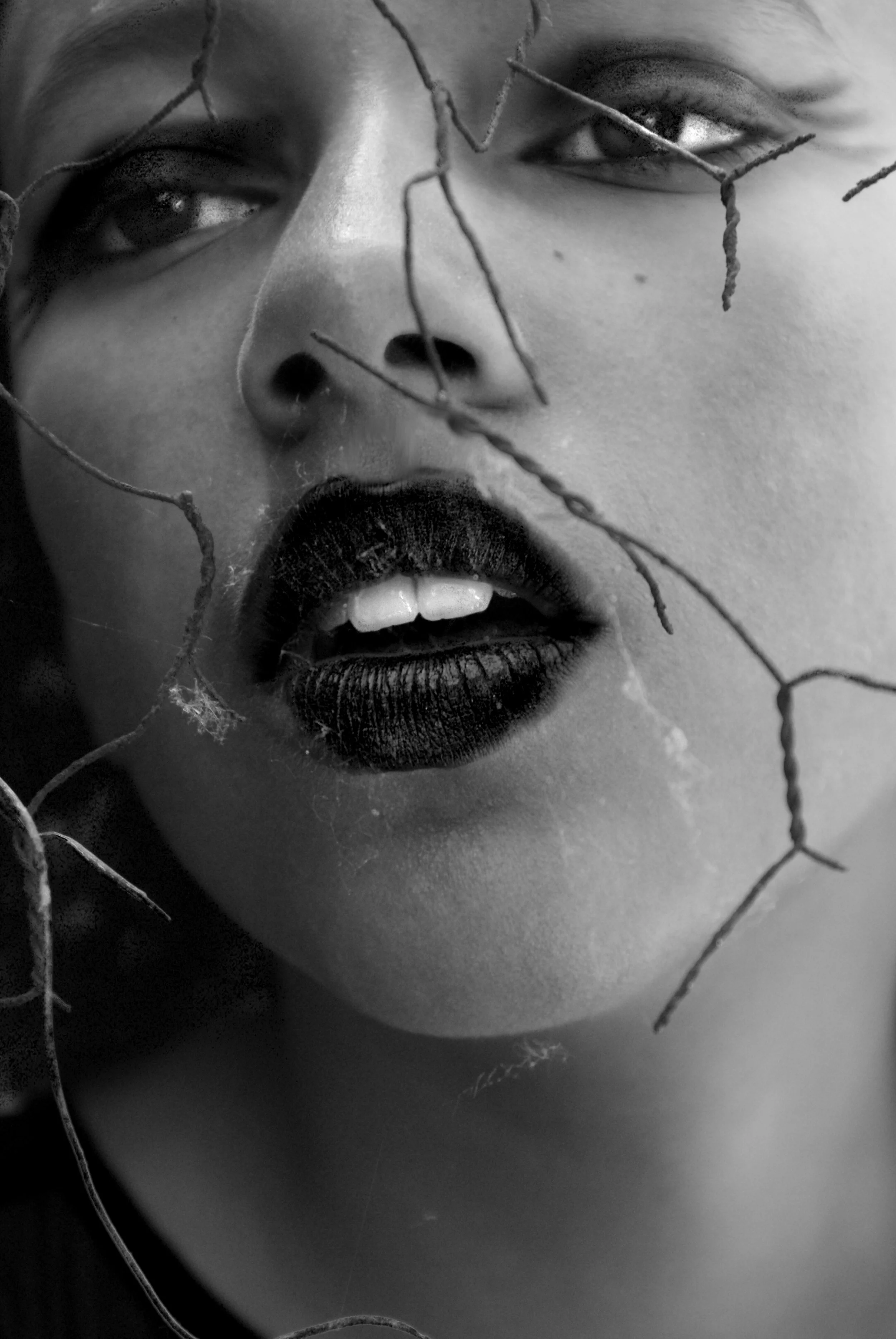 monochrome-surreal-portrait-dark-lips-twigs-artistic-expression.jpg