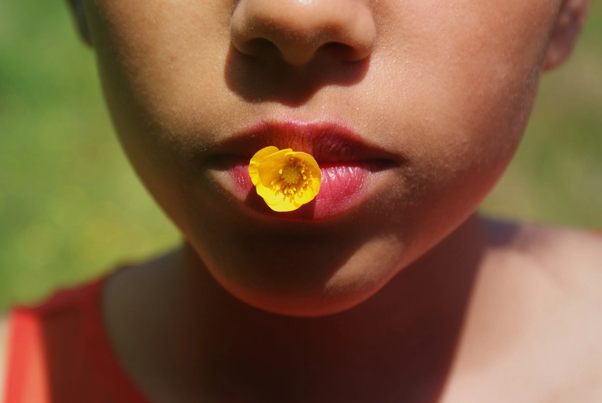 child-yellow-buttercup-flower-on-lips-closeup-portrait.jpg