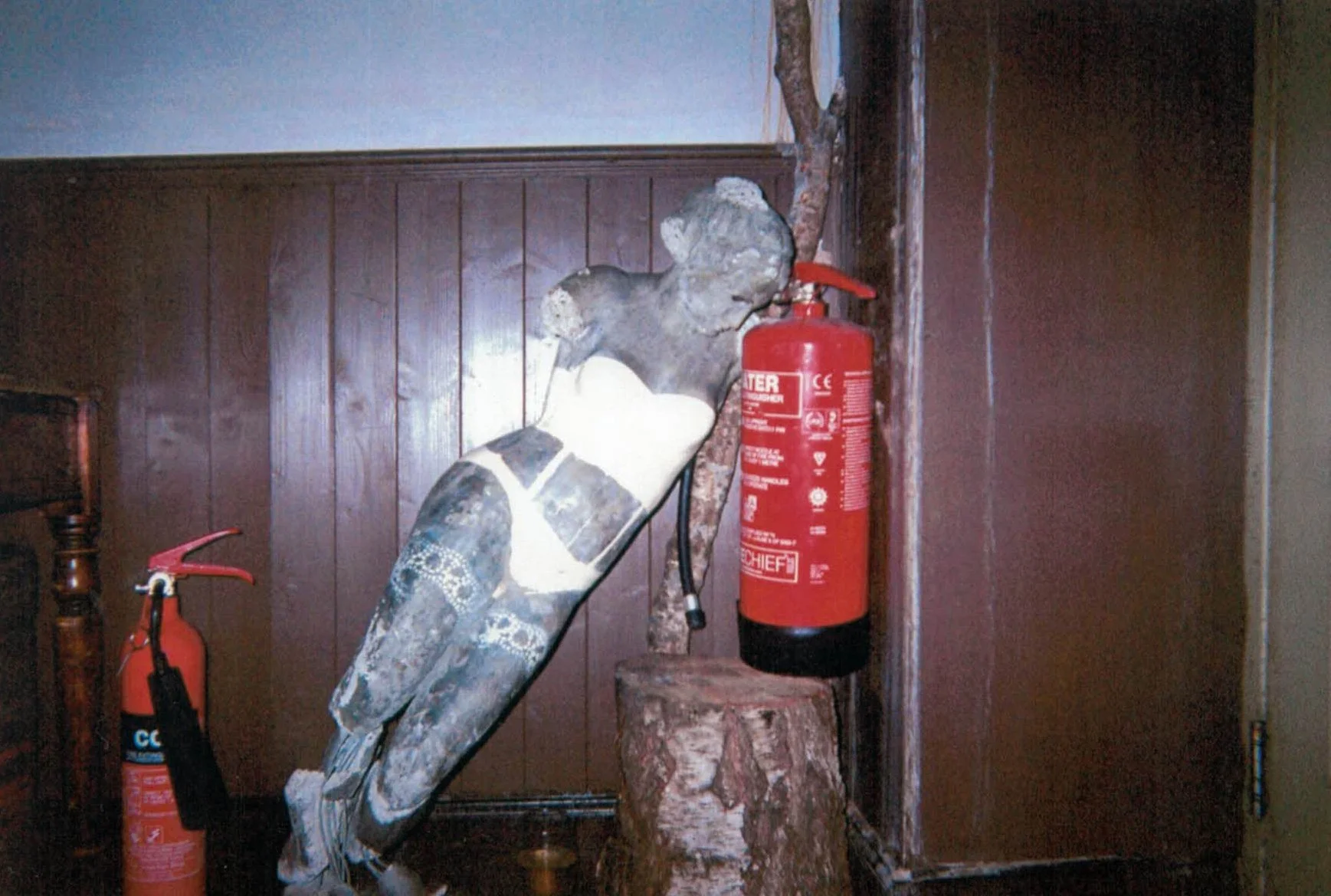 no28-newcastle-bar-statuette-fire-extinguisher-disposable-camera-photo.jpg.jpg