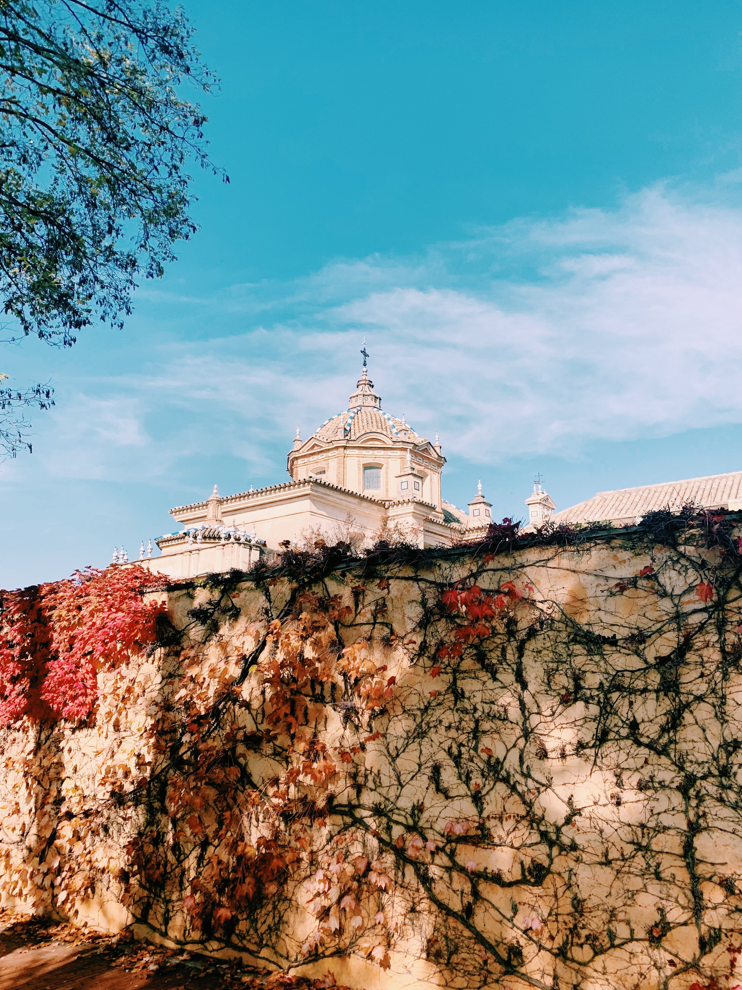 spanish-historic-building-autumn-vines-architectural-view-blue-sky.jpg.JPEG