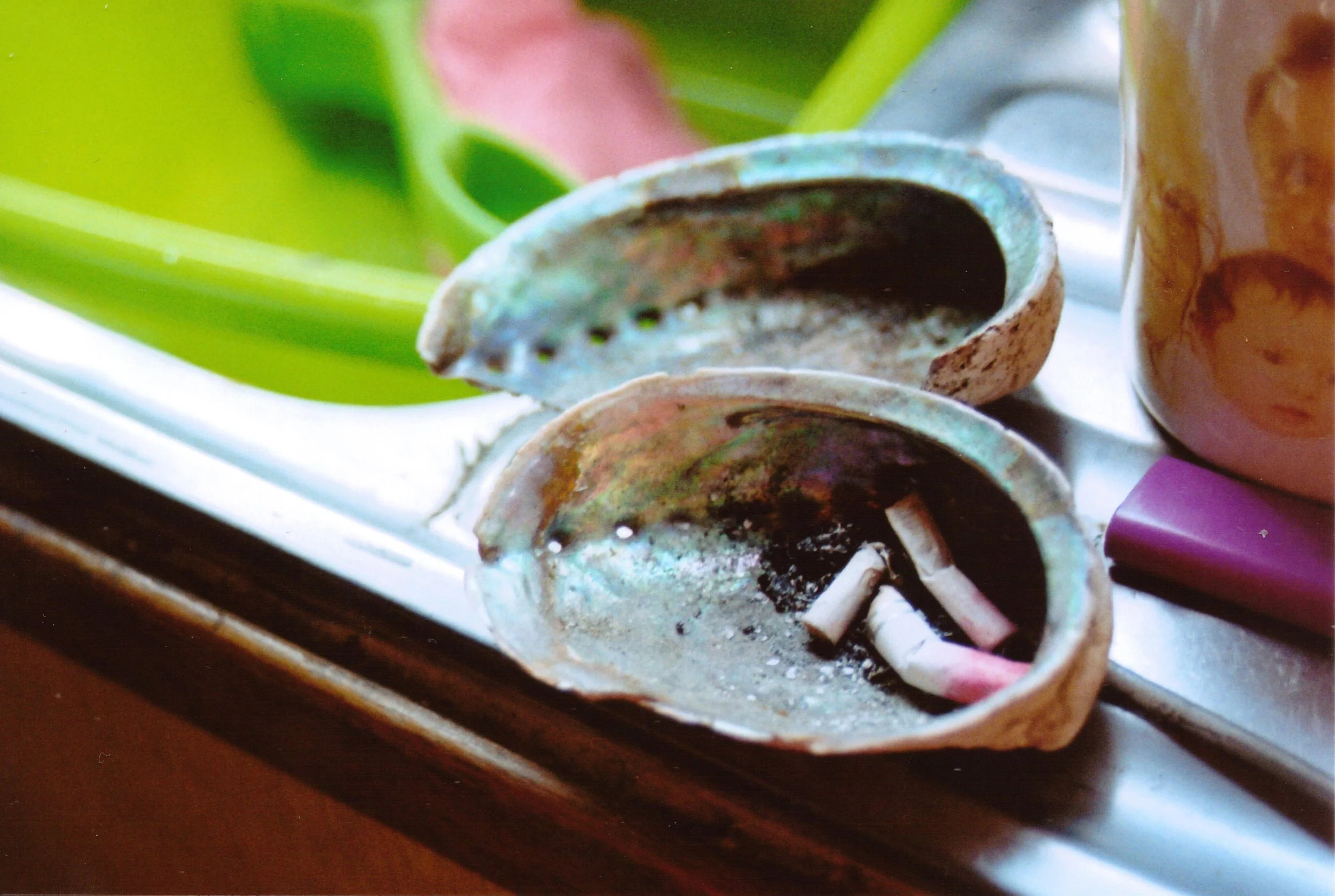 cigarette-butts-in-abalone-shell-35mm-film-louisa-rogers.jpg.jpg