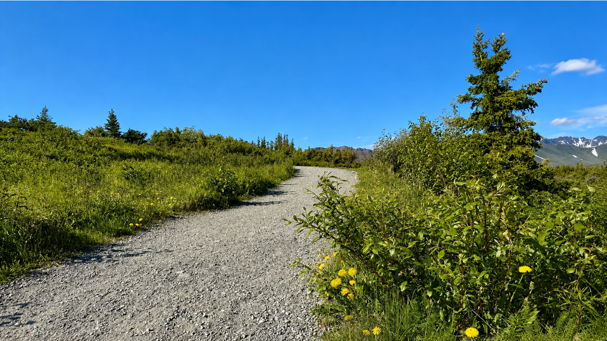 Spring Renewal and the Christian Hope