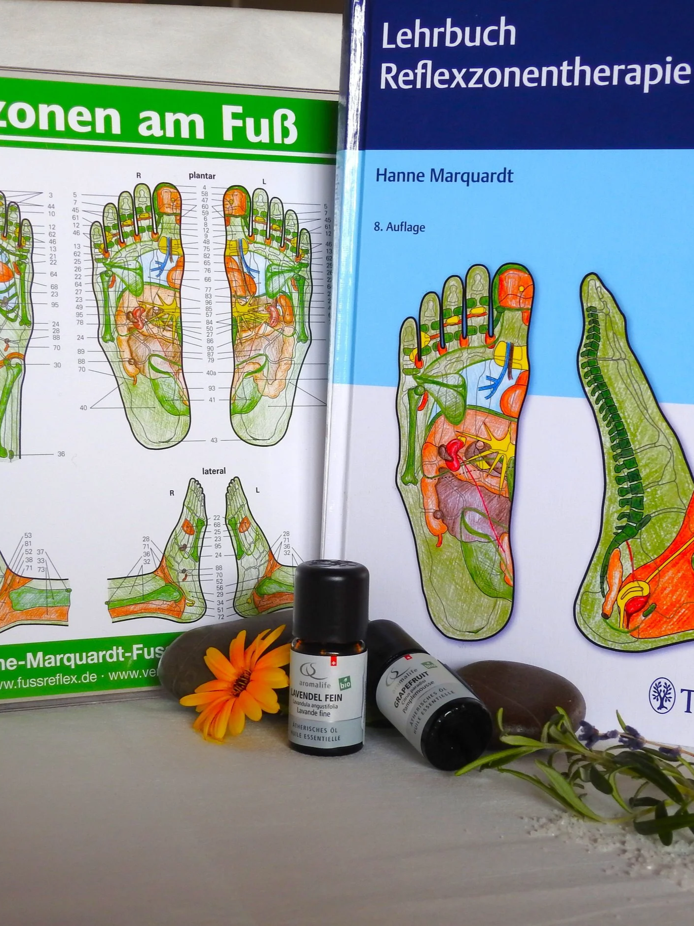 Fussreflexzonenmassage 60 Minuten