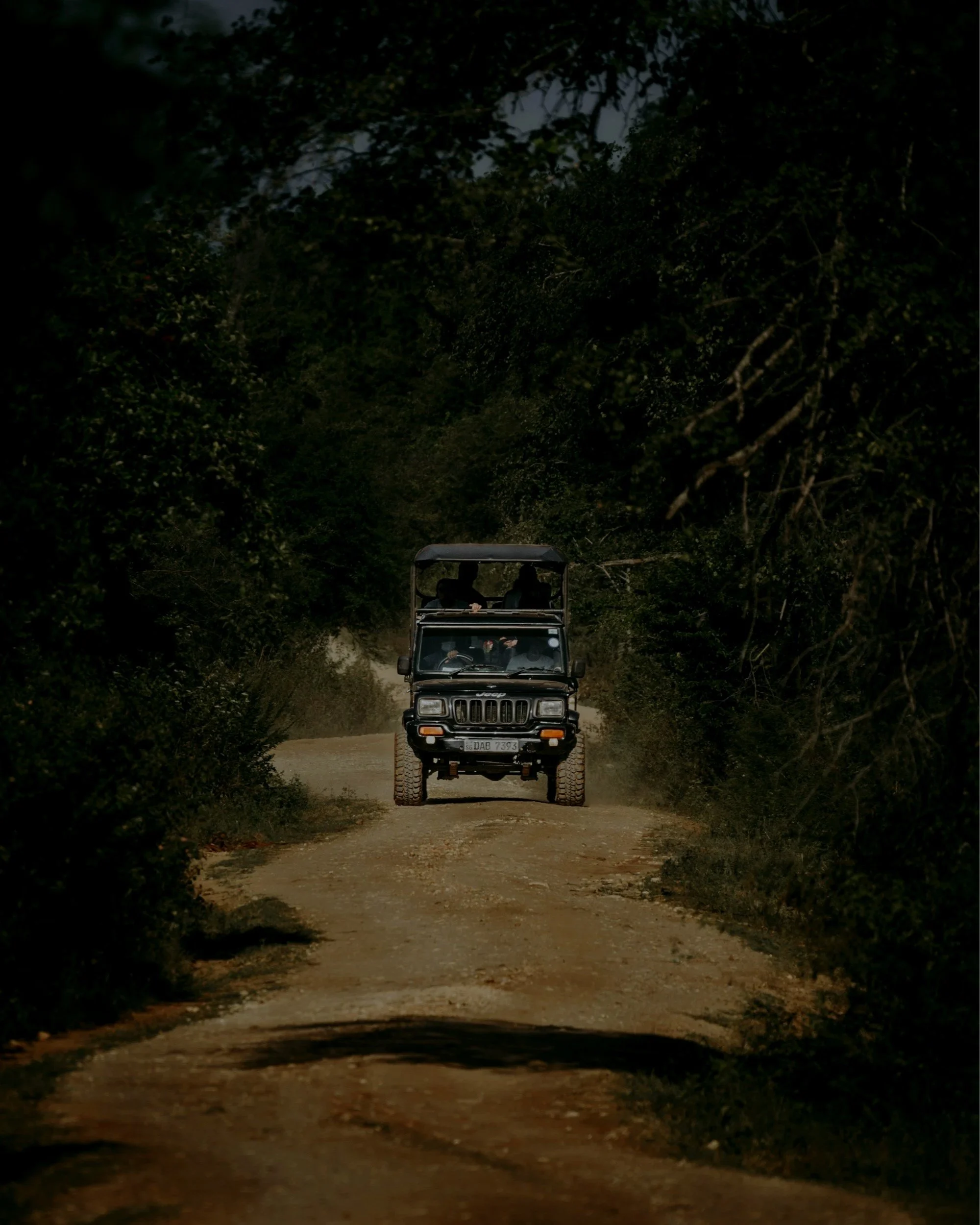 A black Jeep driving on a dirt road surrounded by dense trees and bushes.