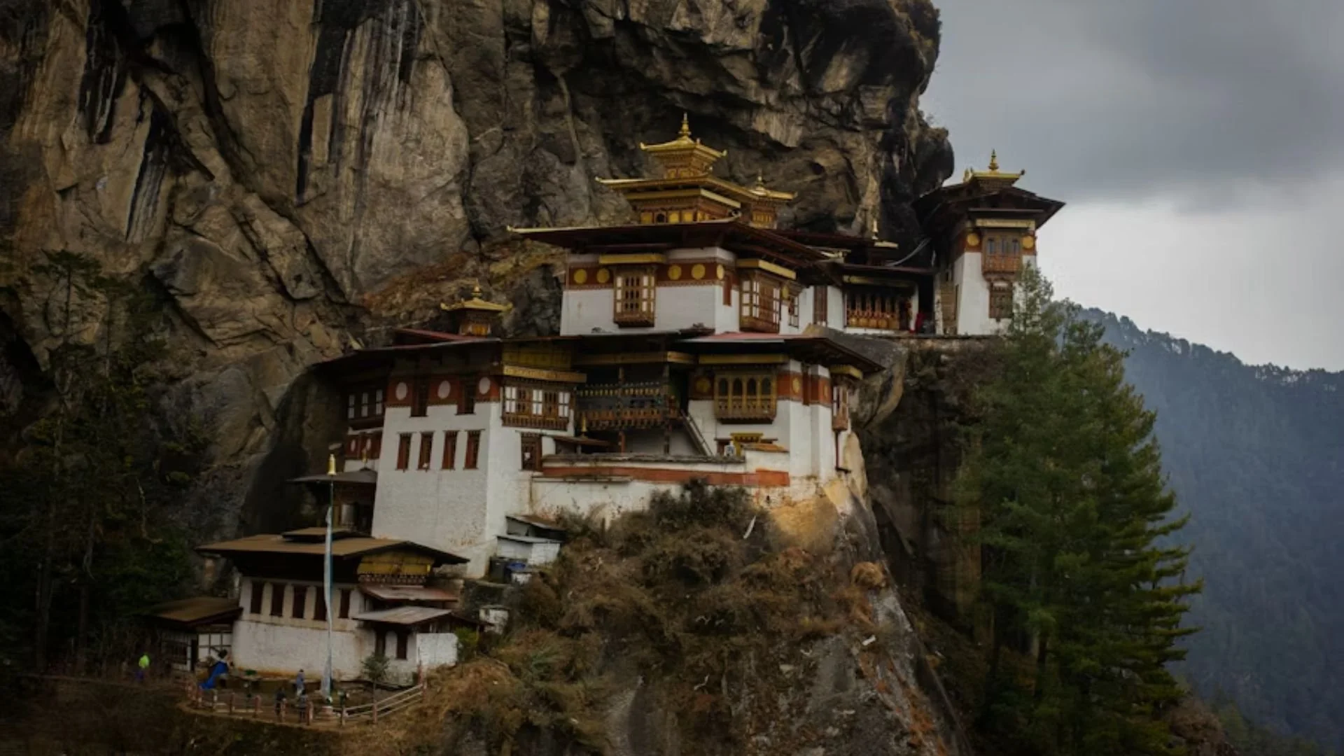 Silence You Can See: Why We Keep Going Back to Paro Valley