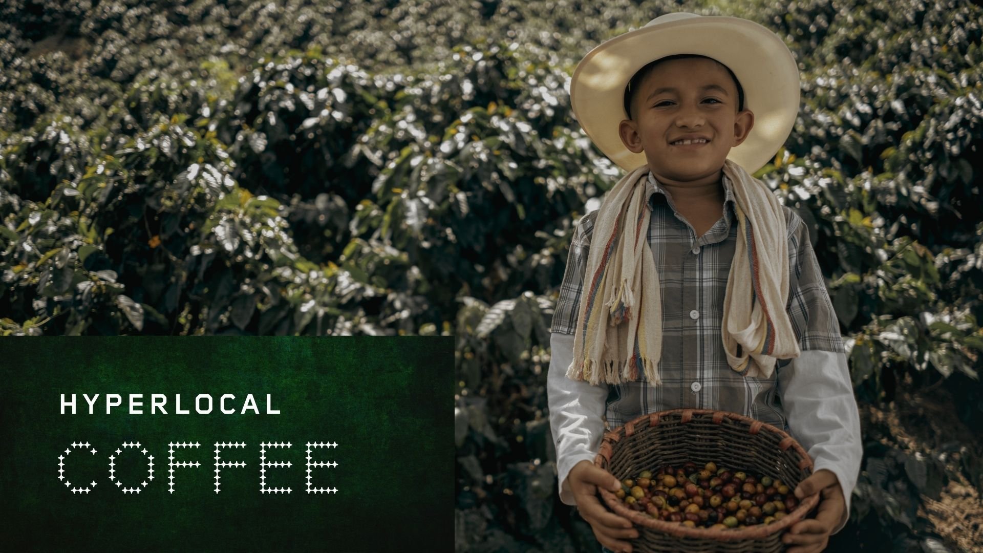 Inside Colombia's Coffee Cultural Landscape