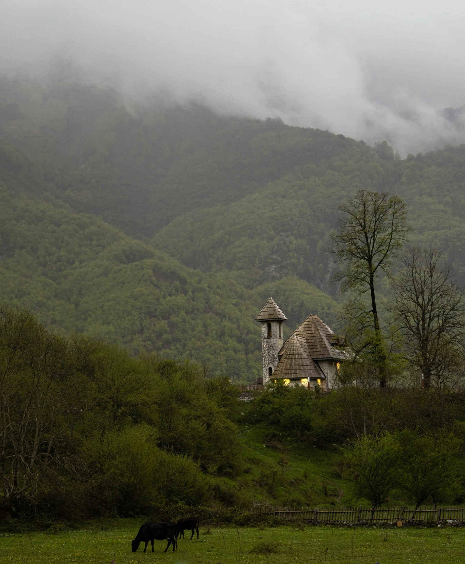 A small stone church with two steeples on a hill surrounded by trees, with a foggy mountain backdrop, black cows grazing in the grass foreground.