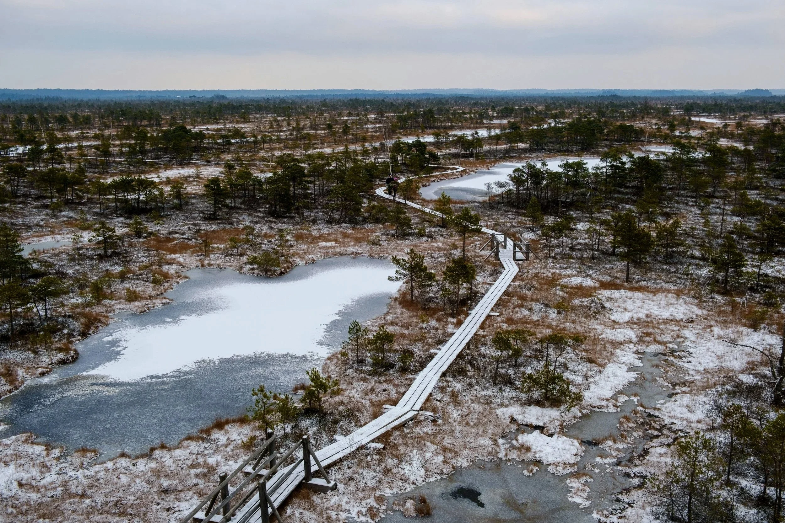 A winding wooden boardwalk in a snowy, swampy landscape with scattered trees and partially frozen ponds under a cloudy sky.