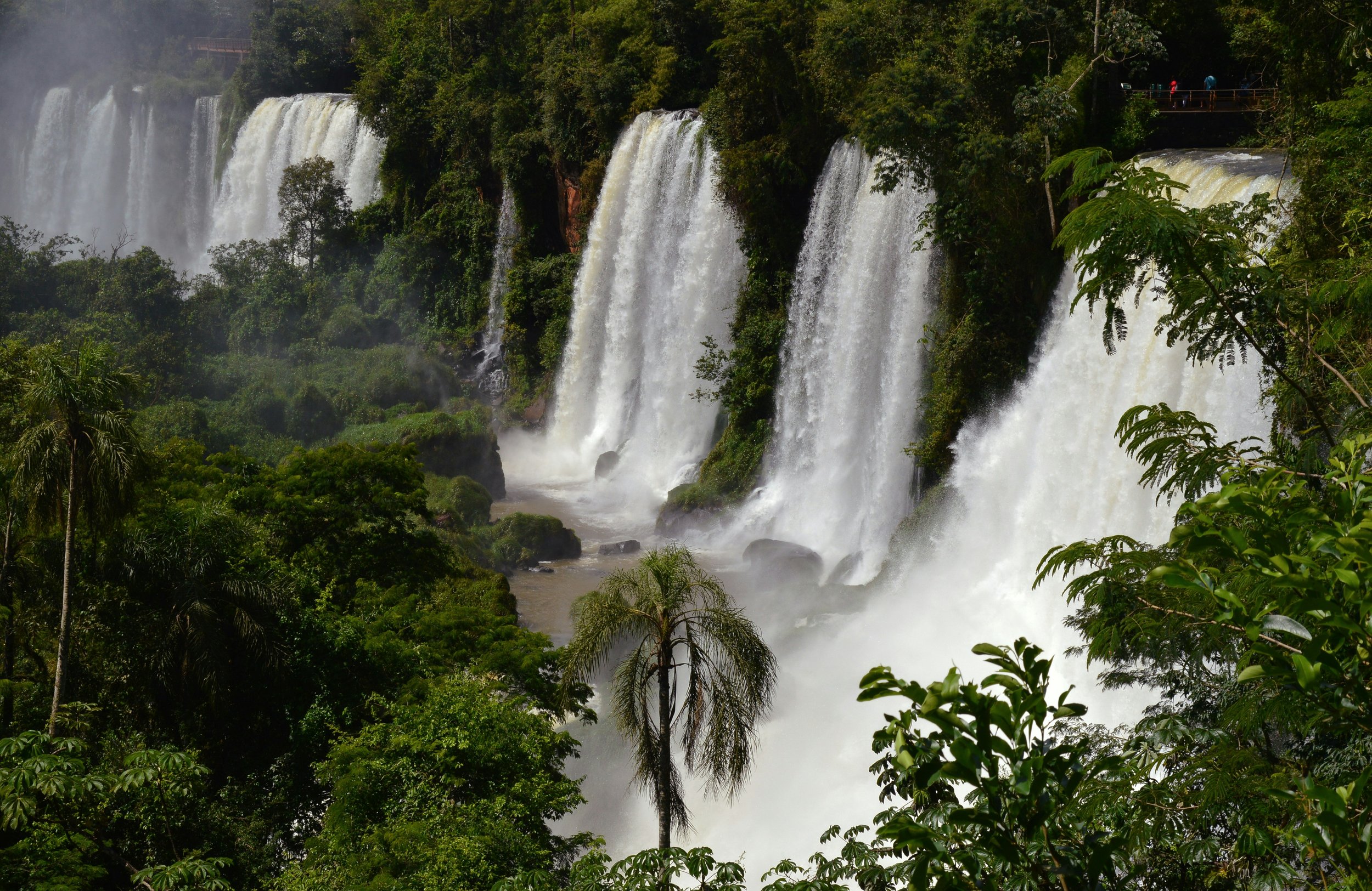 Multiple waterfalls cascading down a lush green forested area with dense foliage and trees surrounding.
